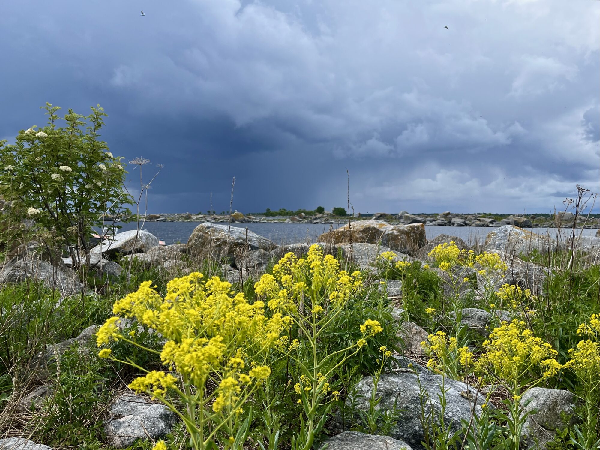 Valokuvaaja: Tuukka Pahtamaa