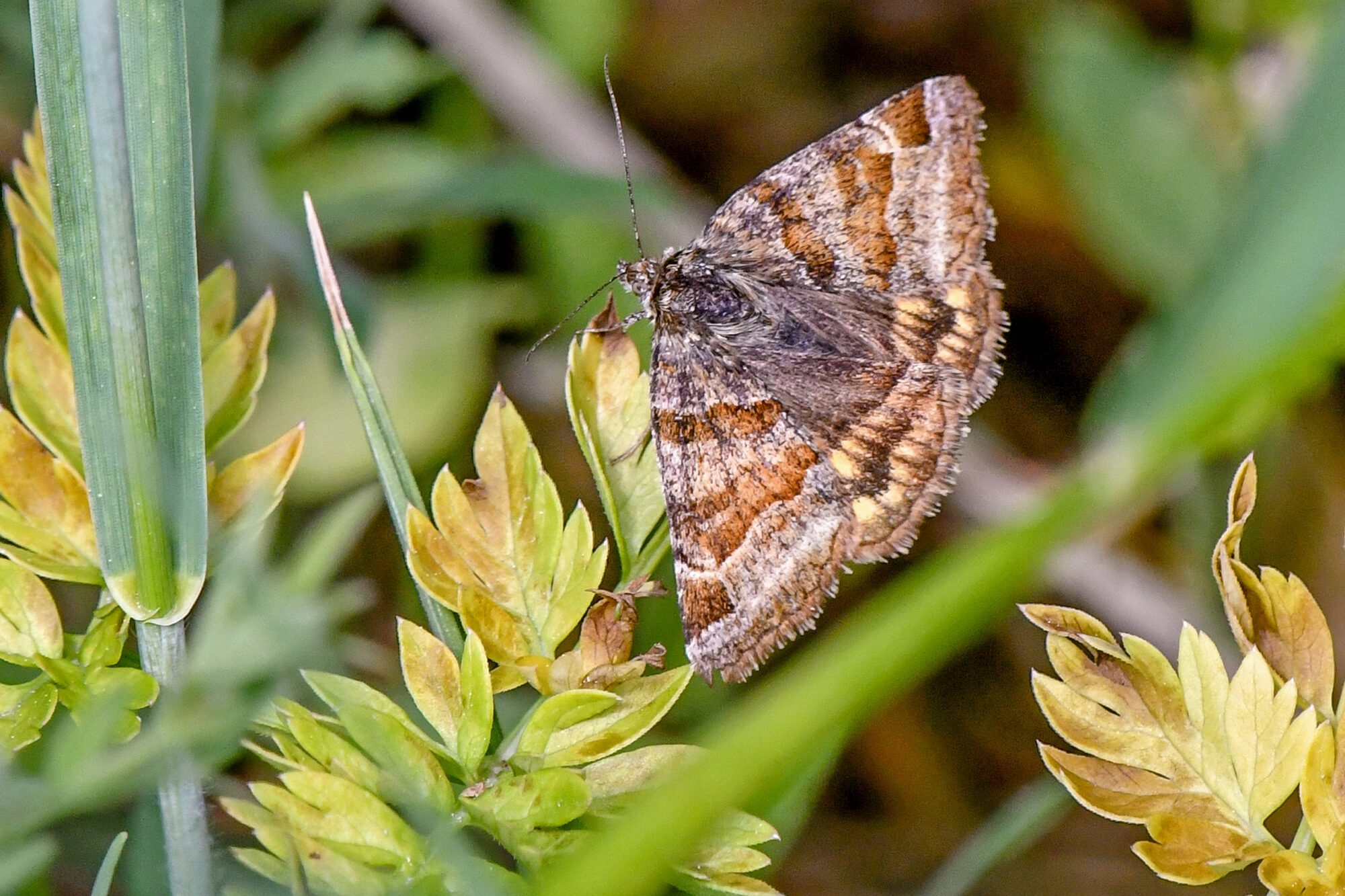 Valokuvaaja: Esko Pihl Valokuvaaja: Esko Pihl