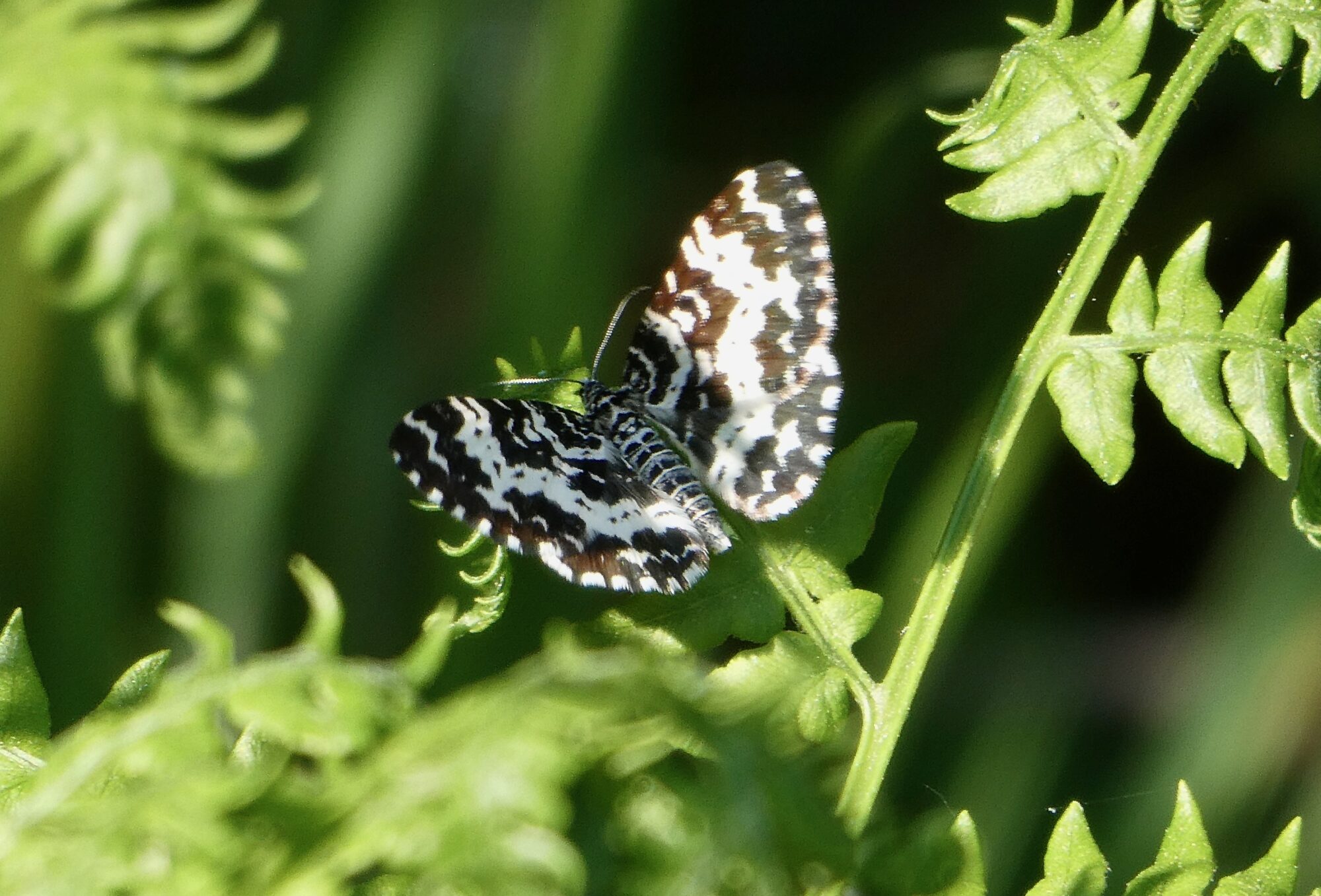 Valokuvaaja: Liisa Niiva-Korpela