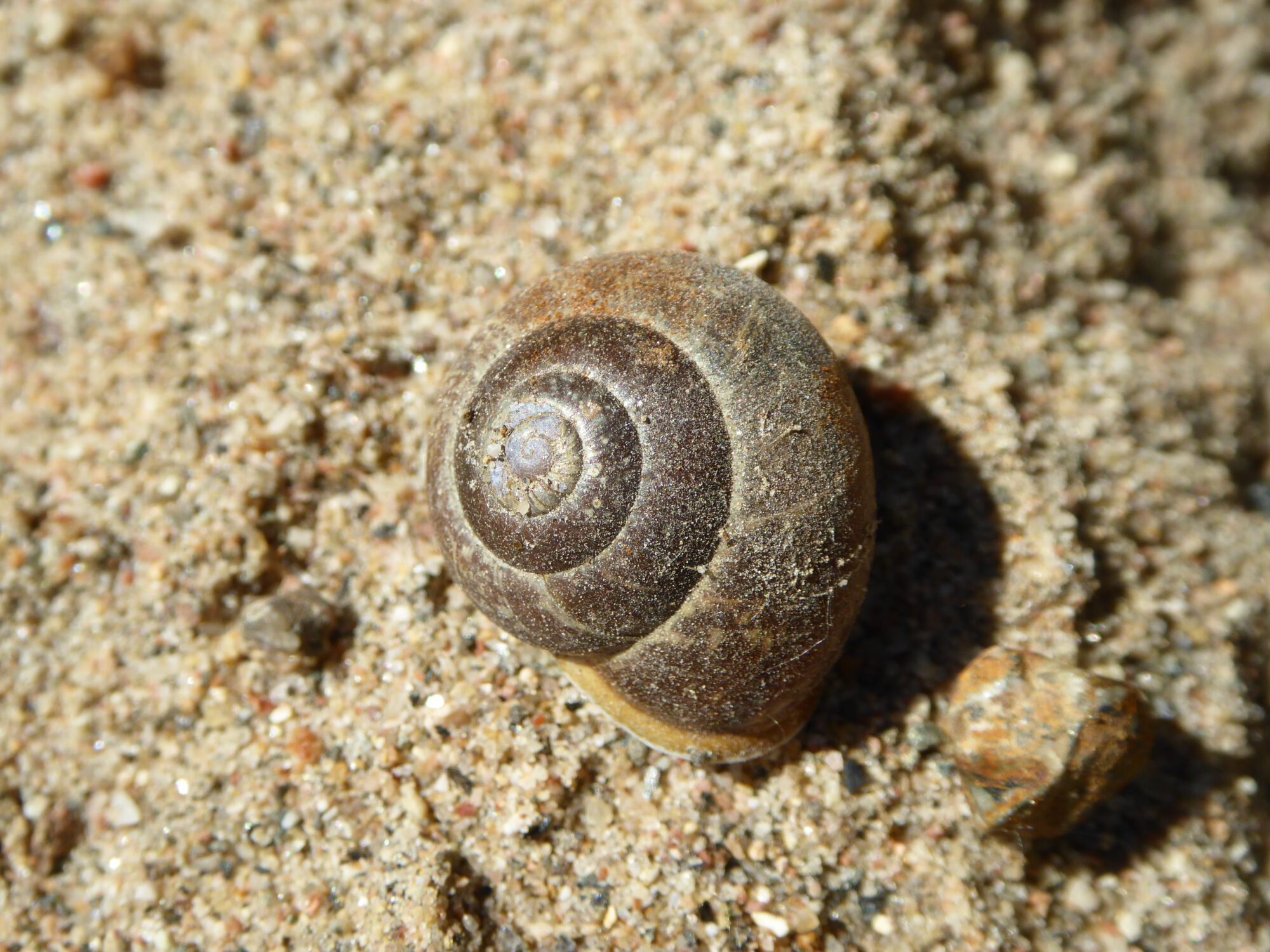 Valokuvaaja: Toni Asikainen