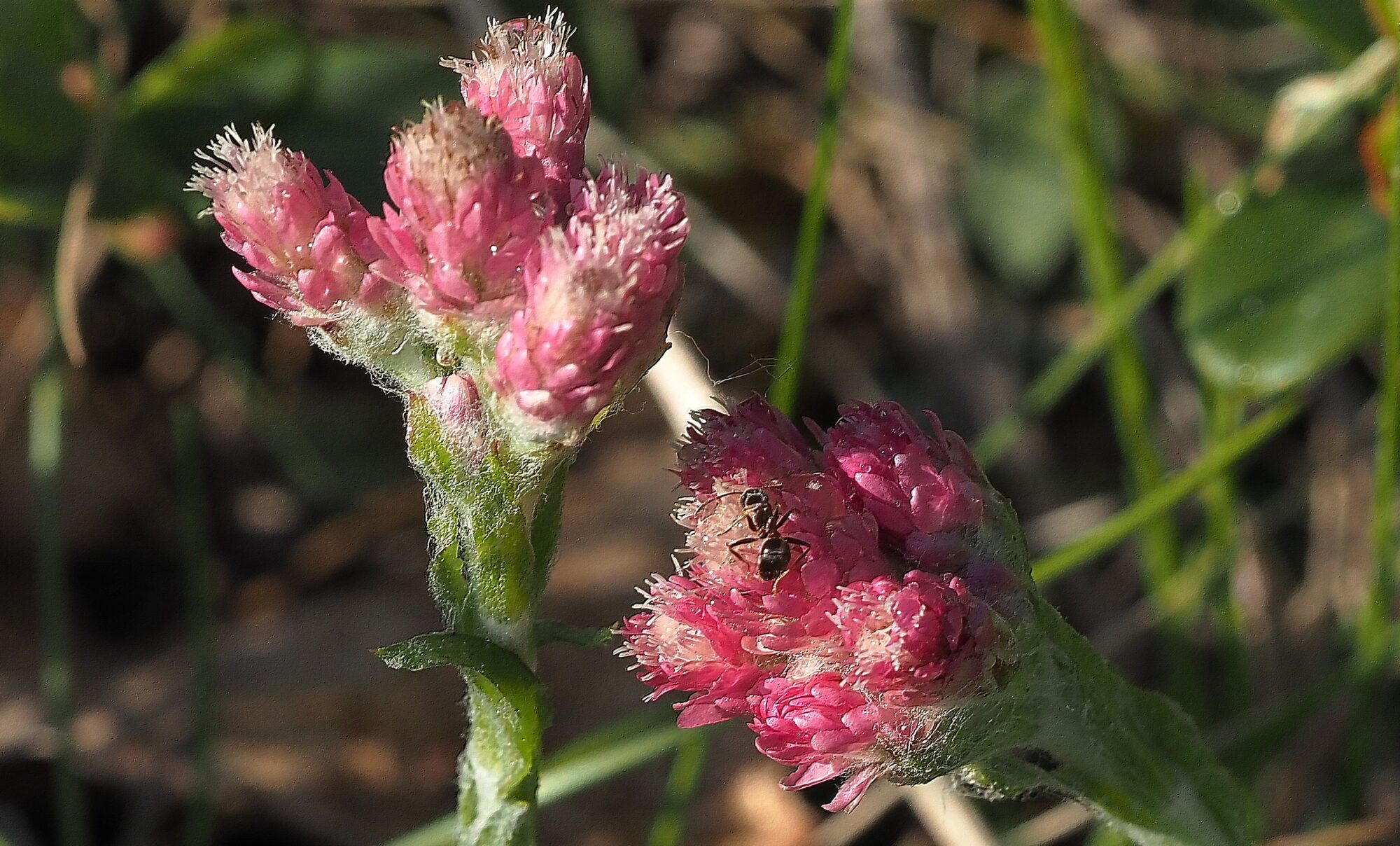 Valokuvaaja: Arja Valtonen