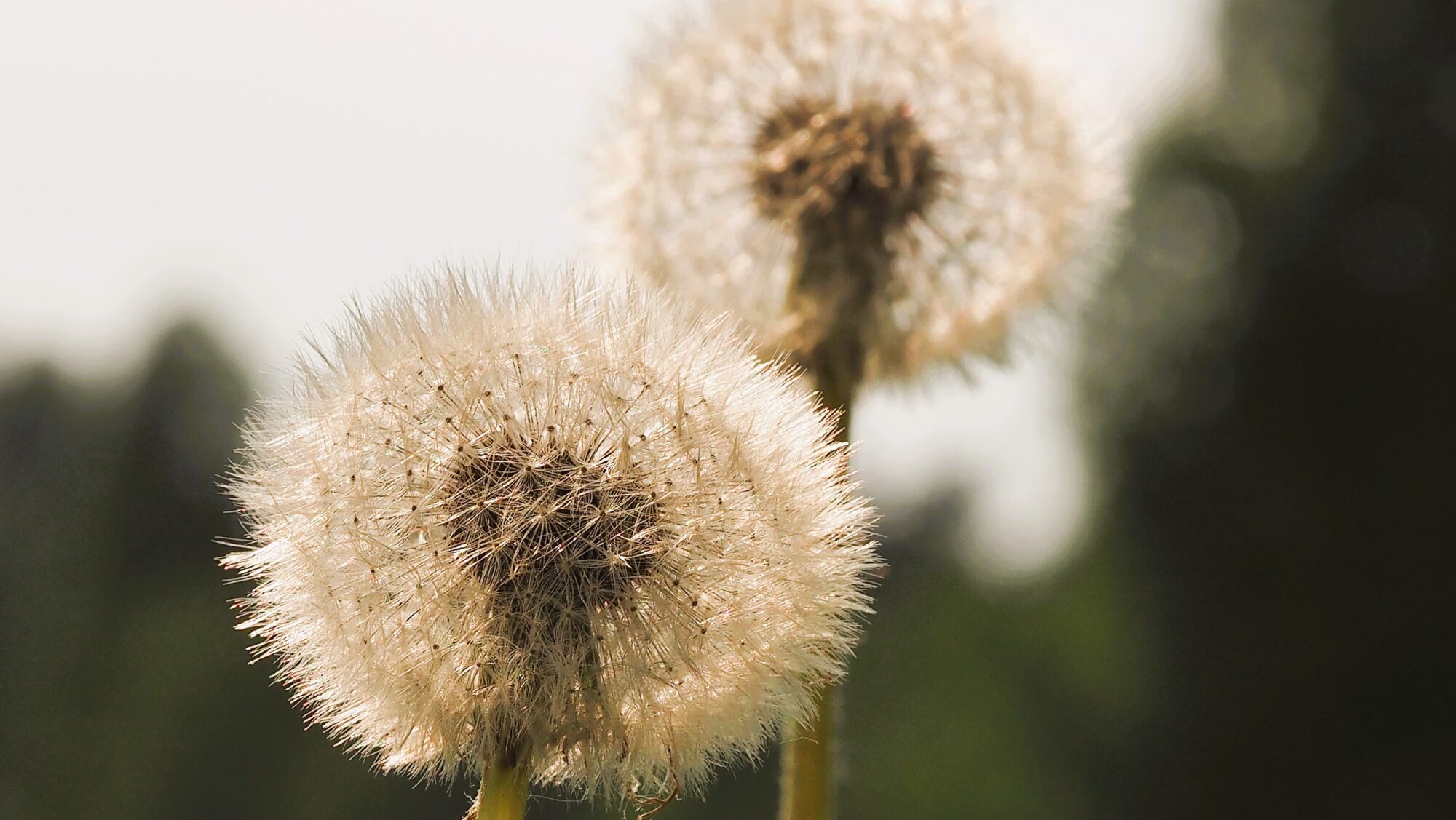 Valokuvaaja: Arja Valtonen