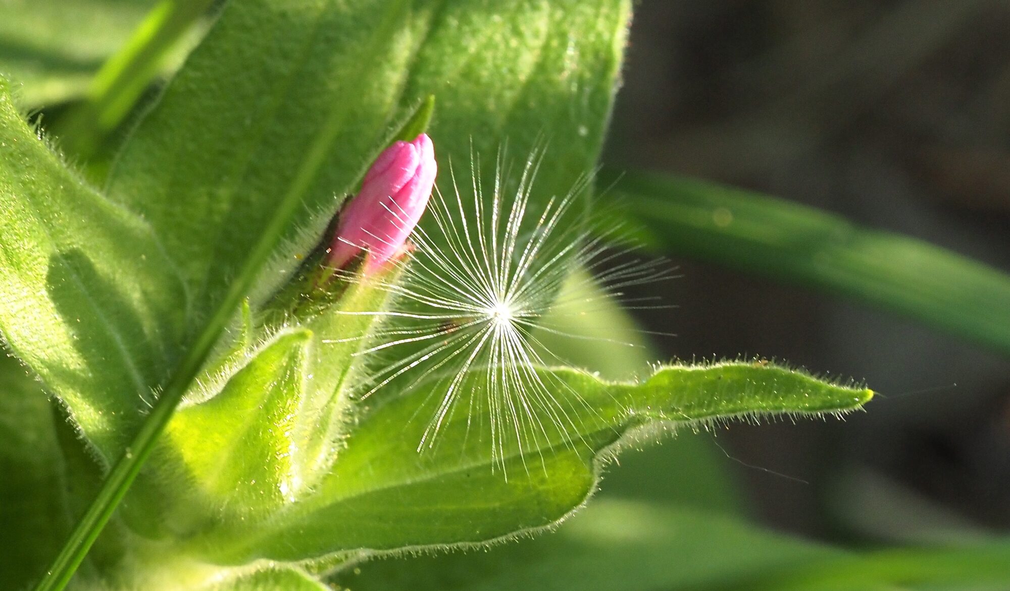Valokuvaaja: Arja Valtonen