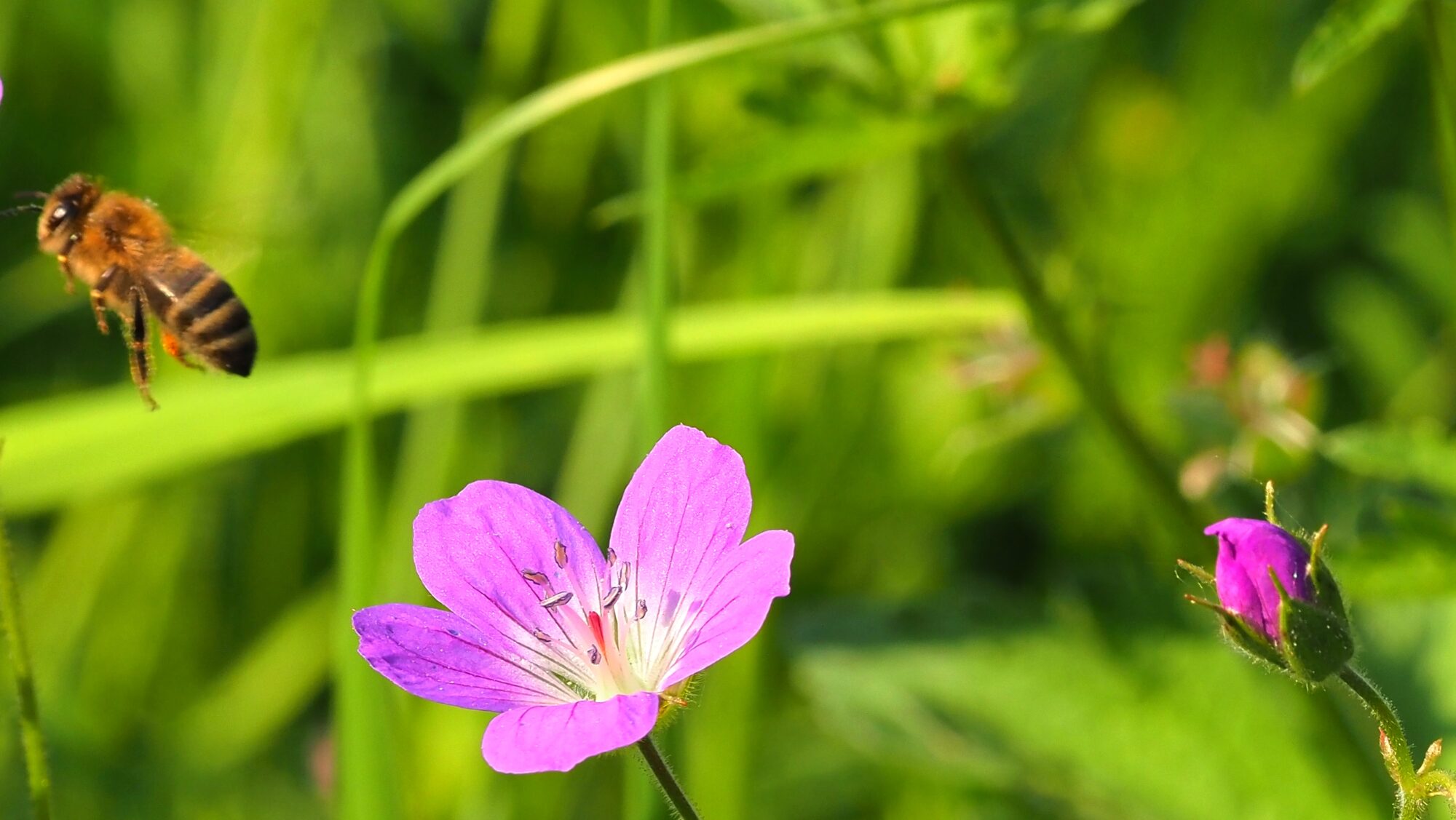 Valokuvaaja: Arja Valtonen
