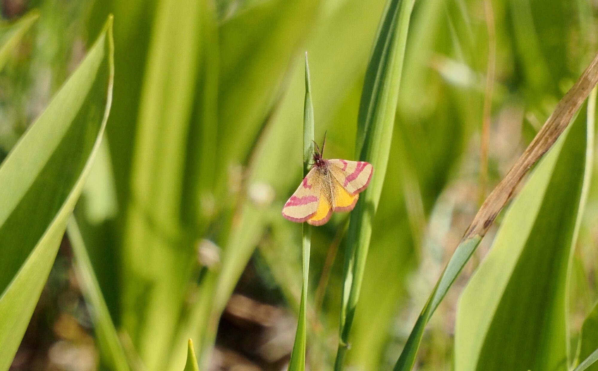 Valokuvaaja: Arja Valtonen Valokuvaaja: Arja Valtonen