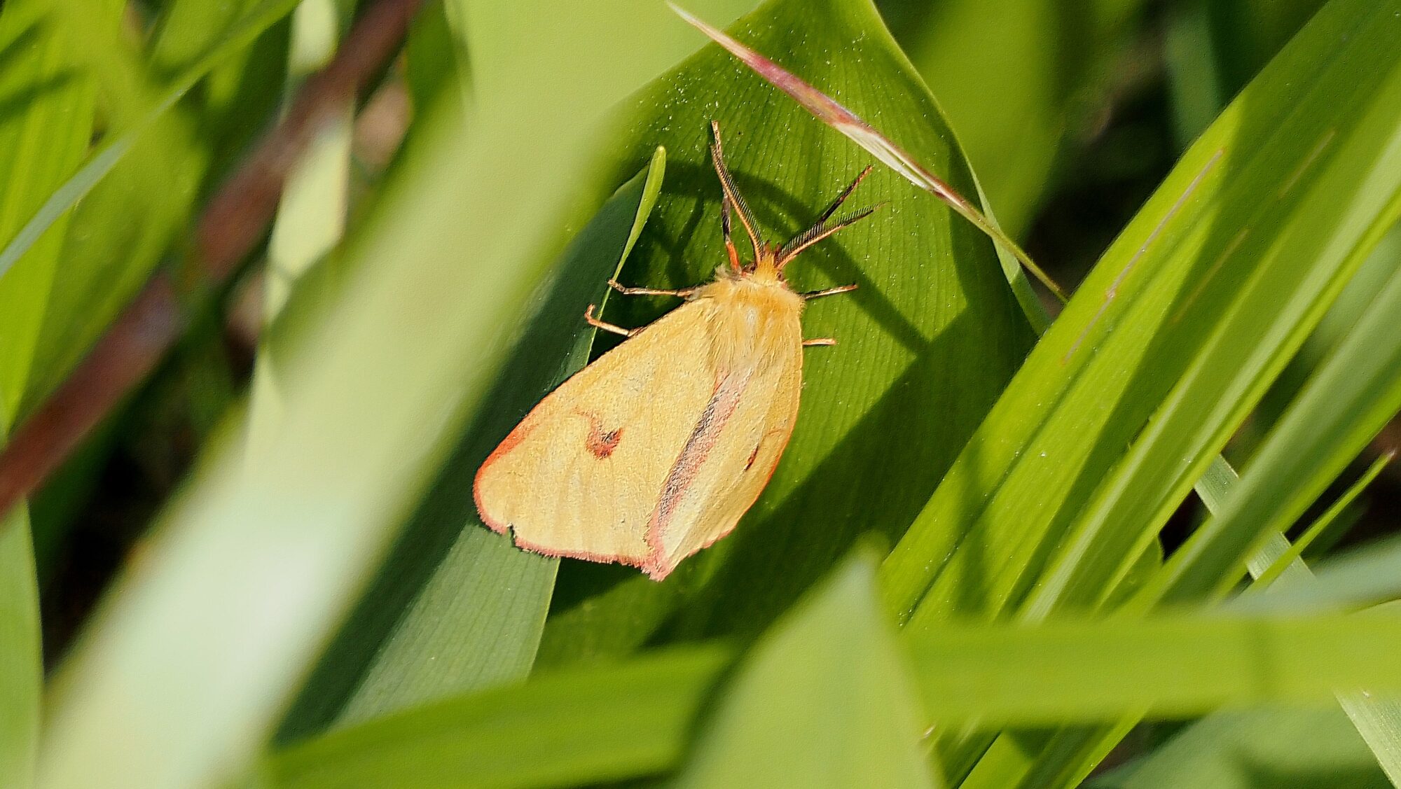 Valokuvaaja: Arja Valtonen