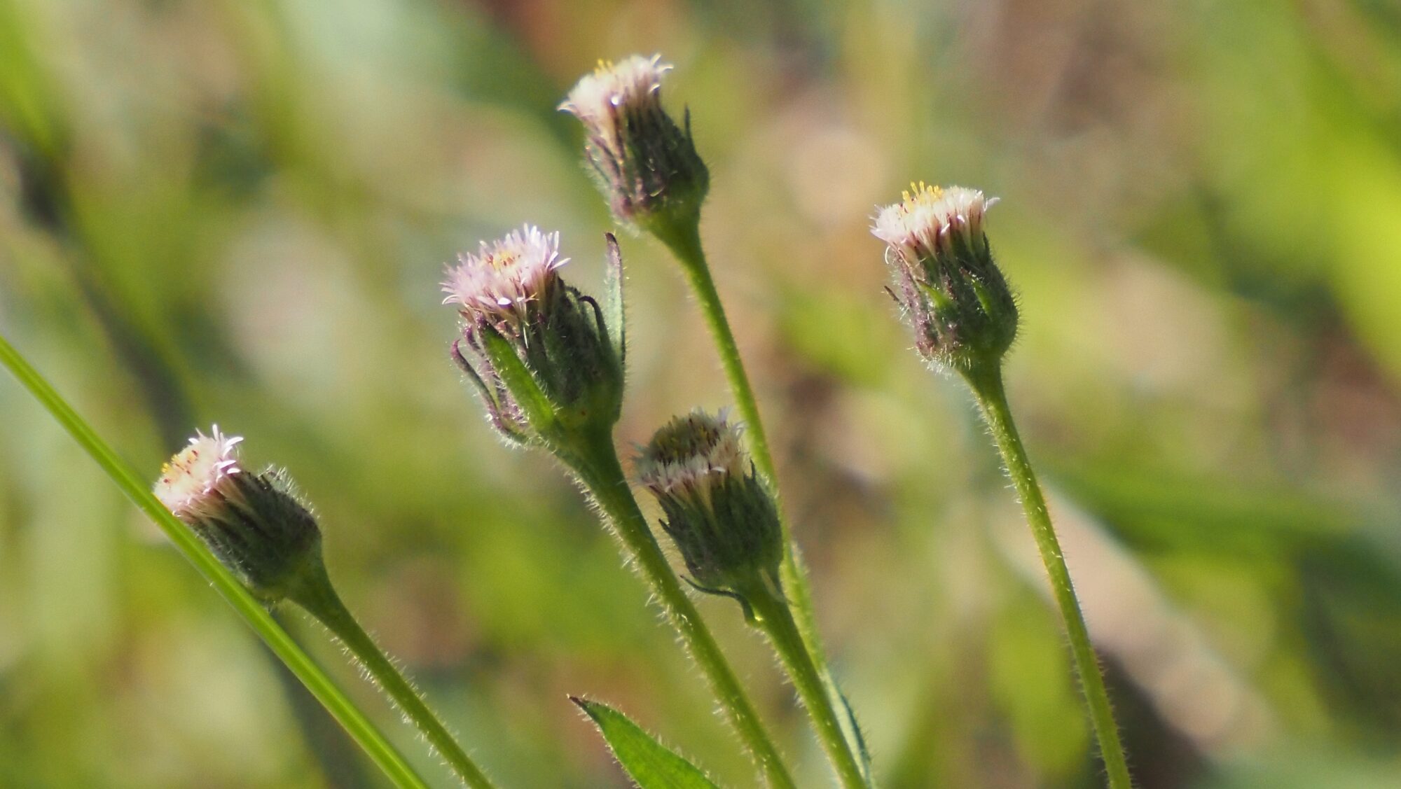 Valokuvaaja: Arja Valtonen