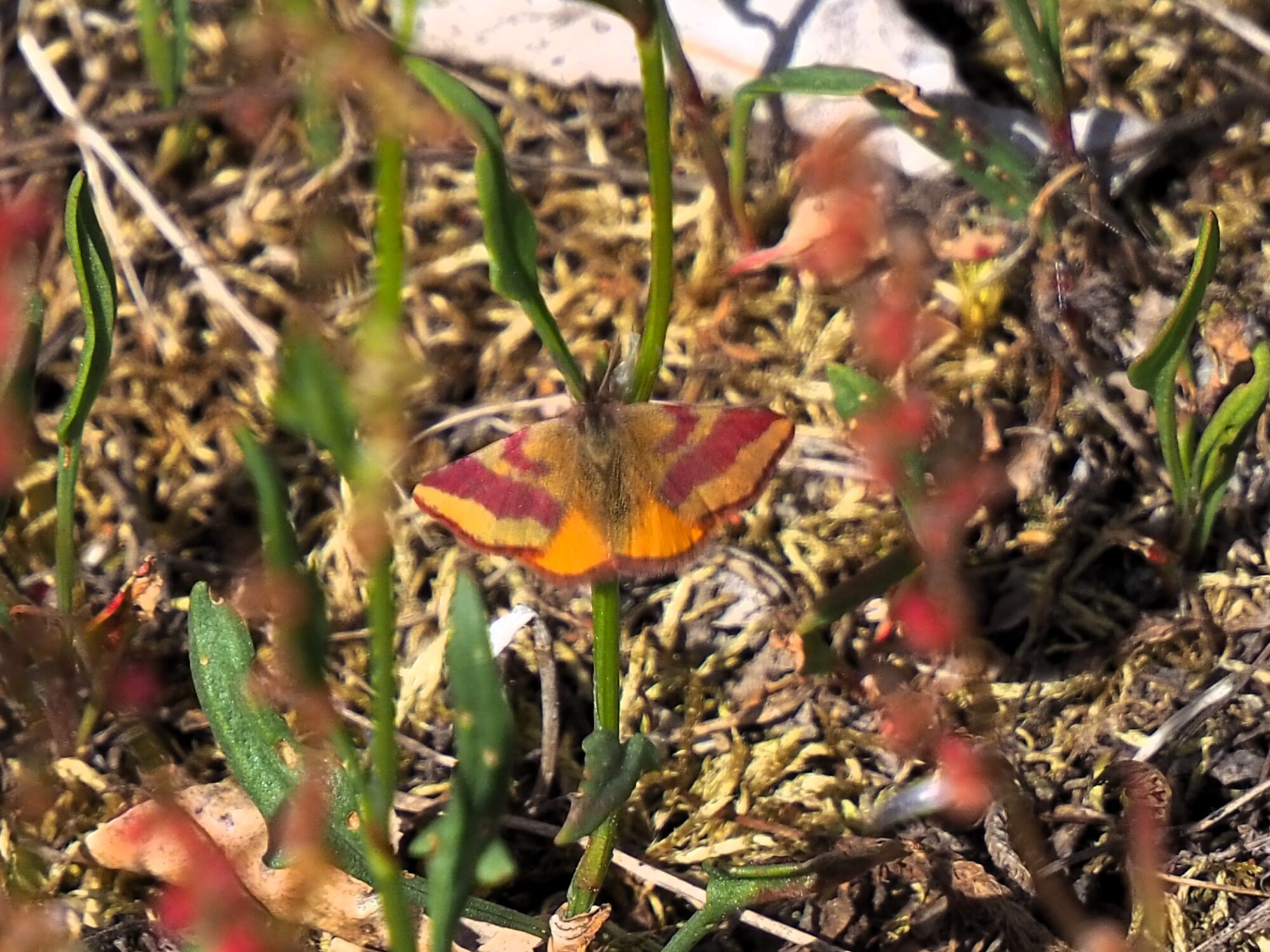 Valokuvaaja: Martti Valtonen