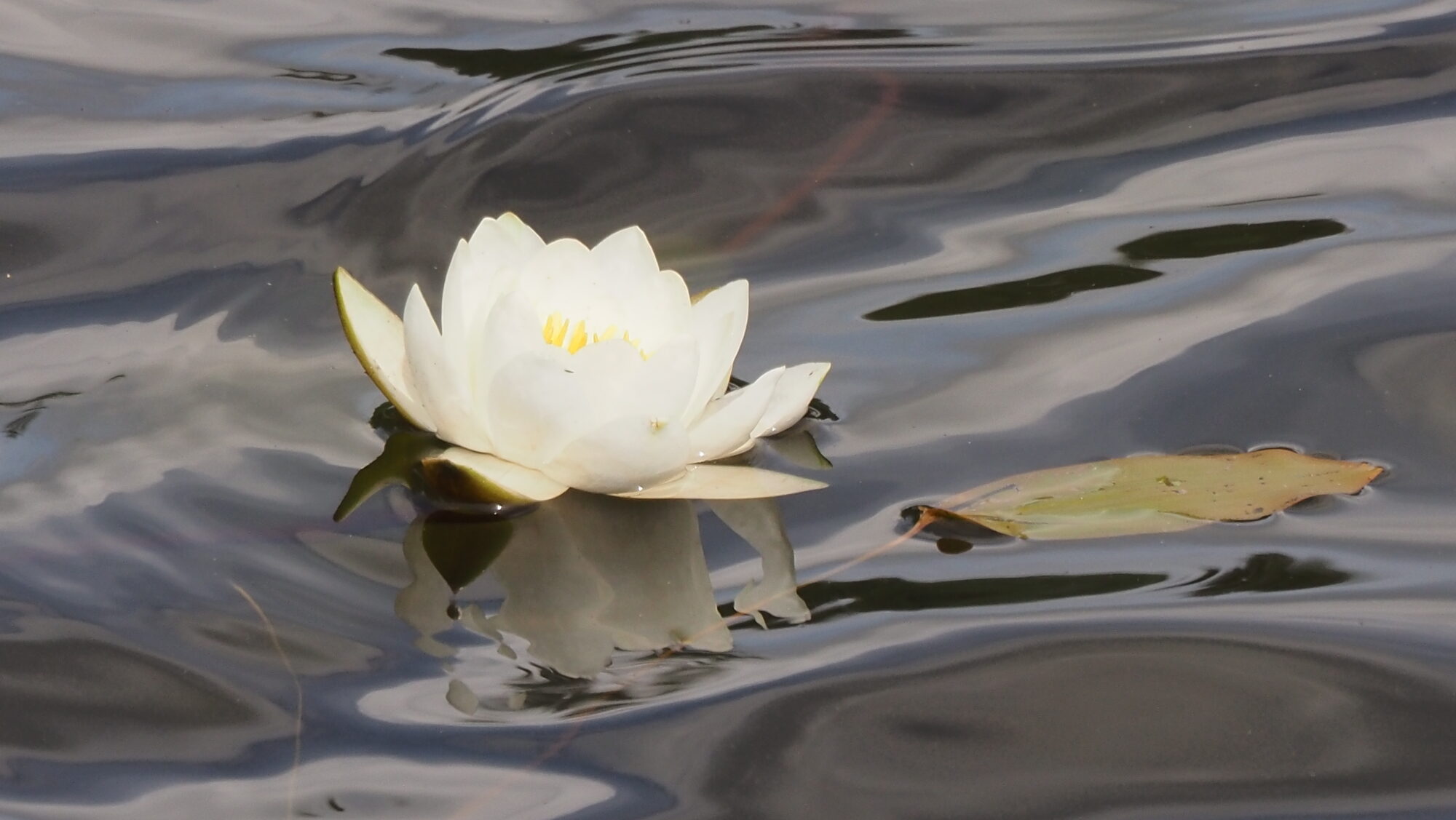 Valokuvaaja: Arja Valtonen