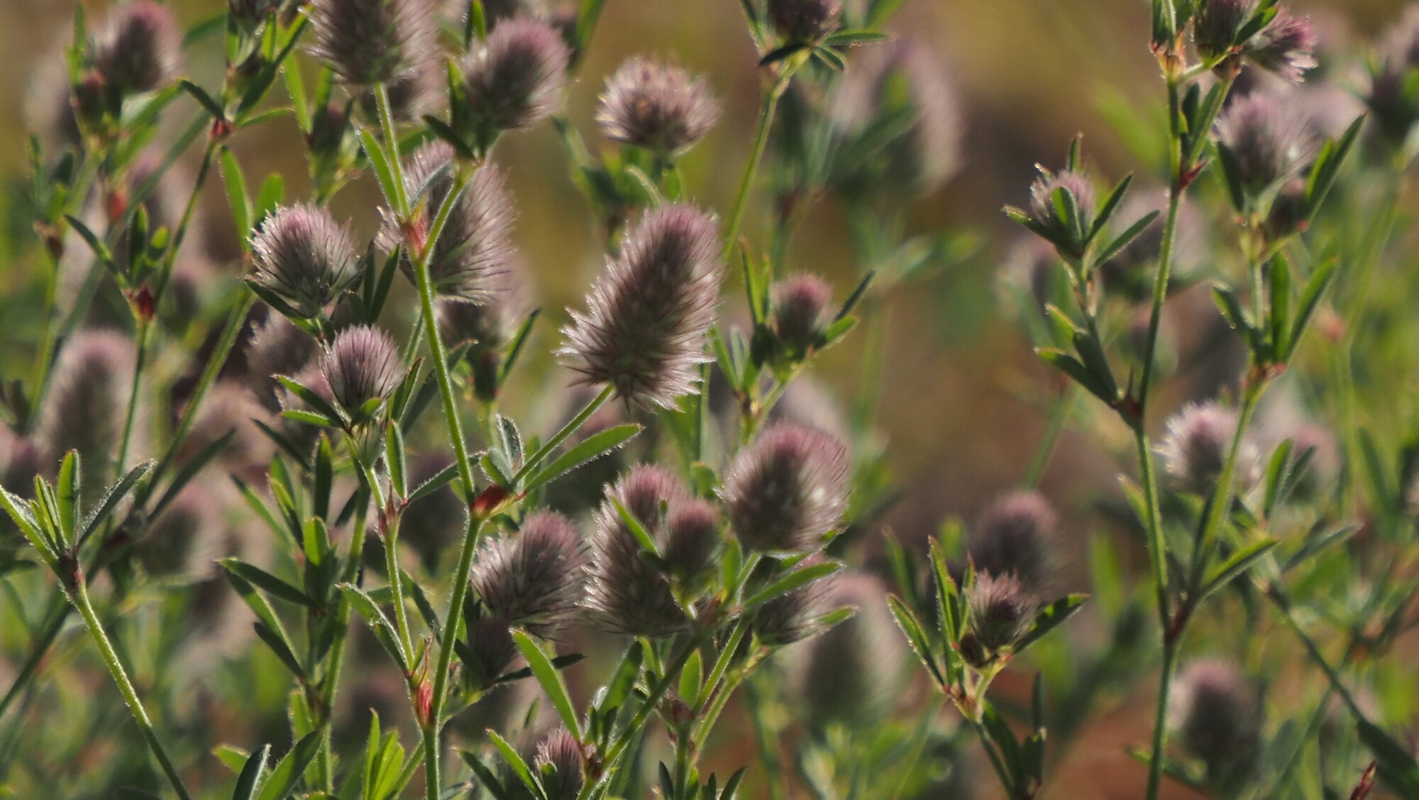 Valokuvaaja: Arja Valtonen