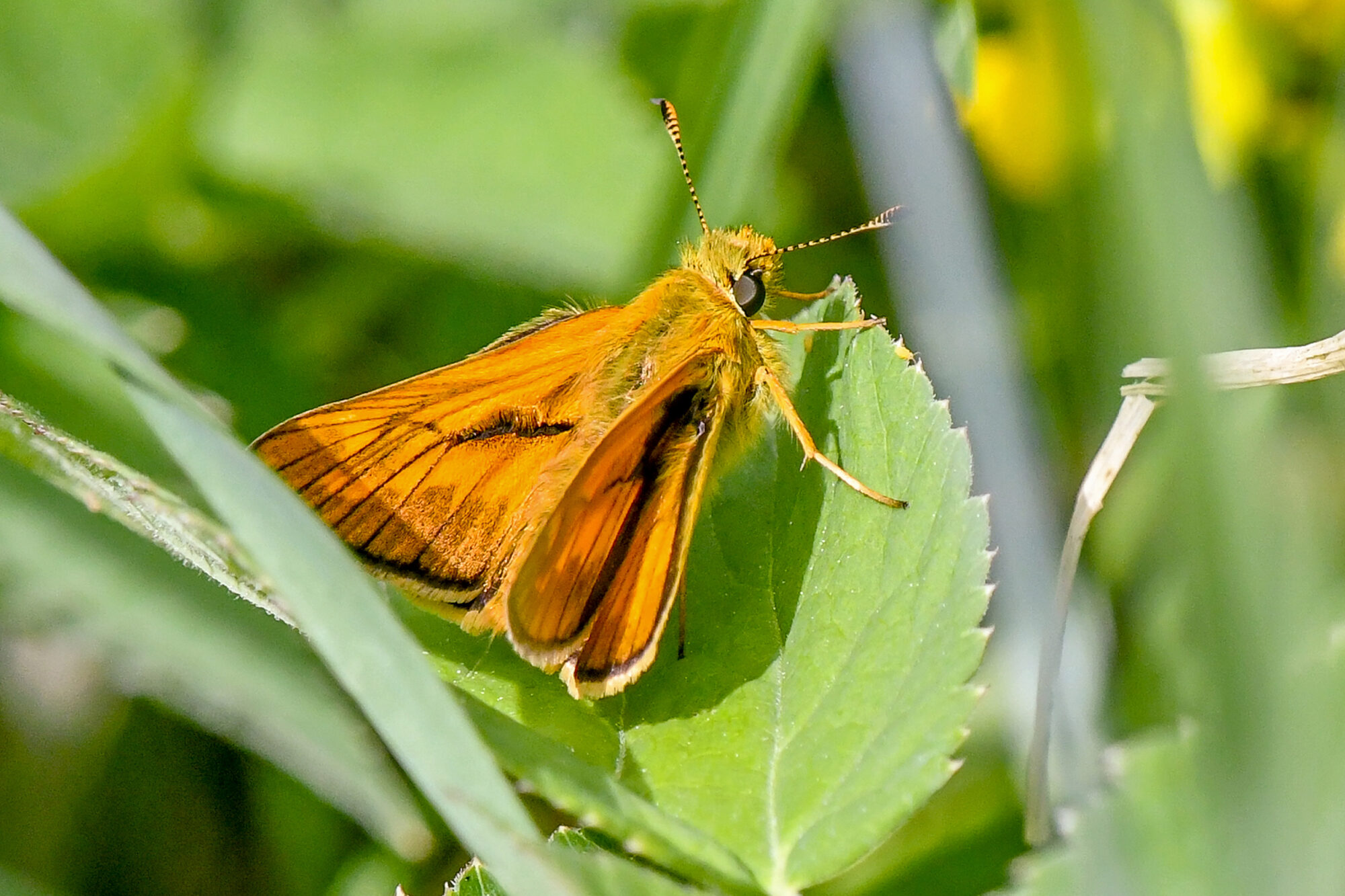 Valokuvaaja: Esko Pihl