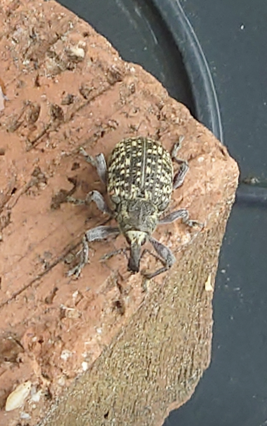 Valokuvaaja: Jouni Roppola