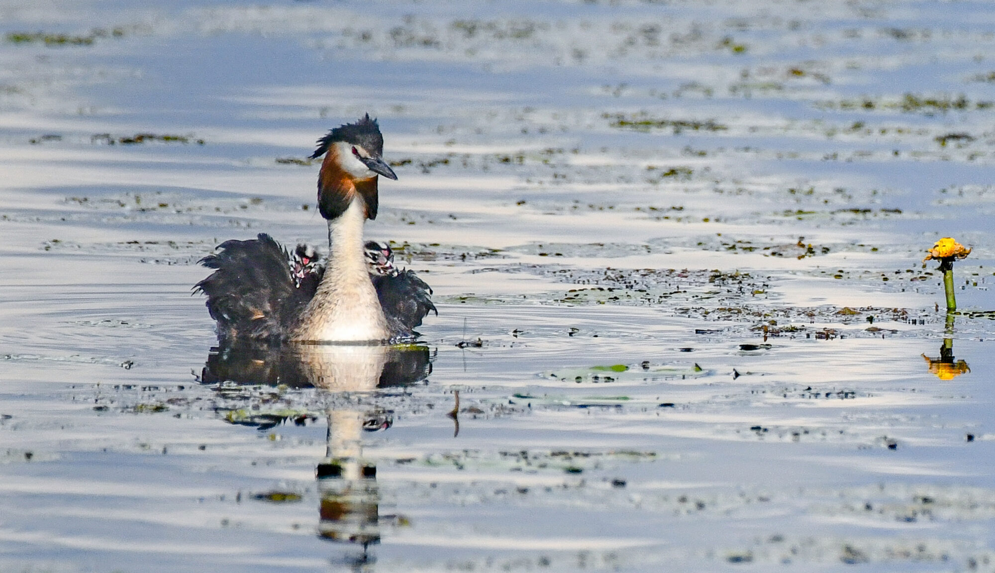 Valokuvaaja: Esko Pihl