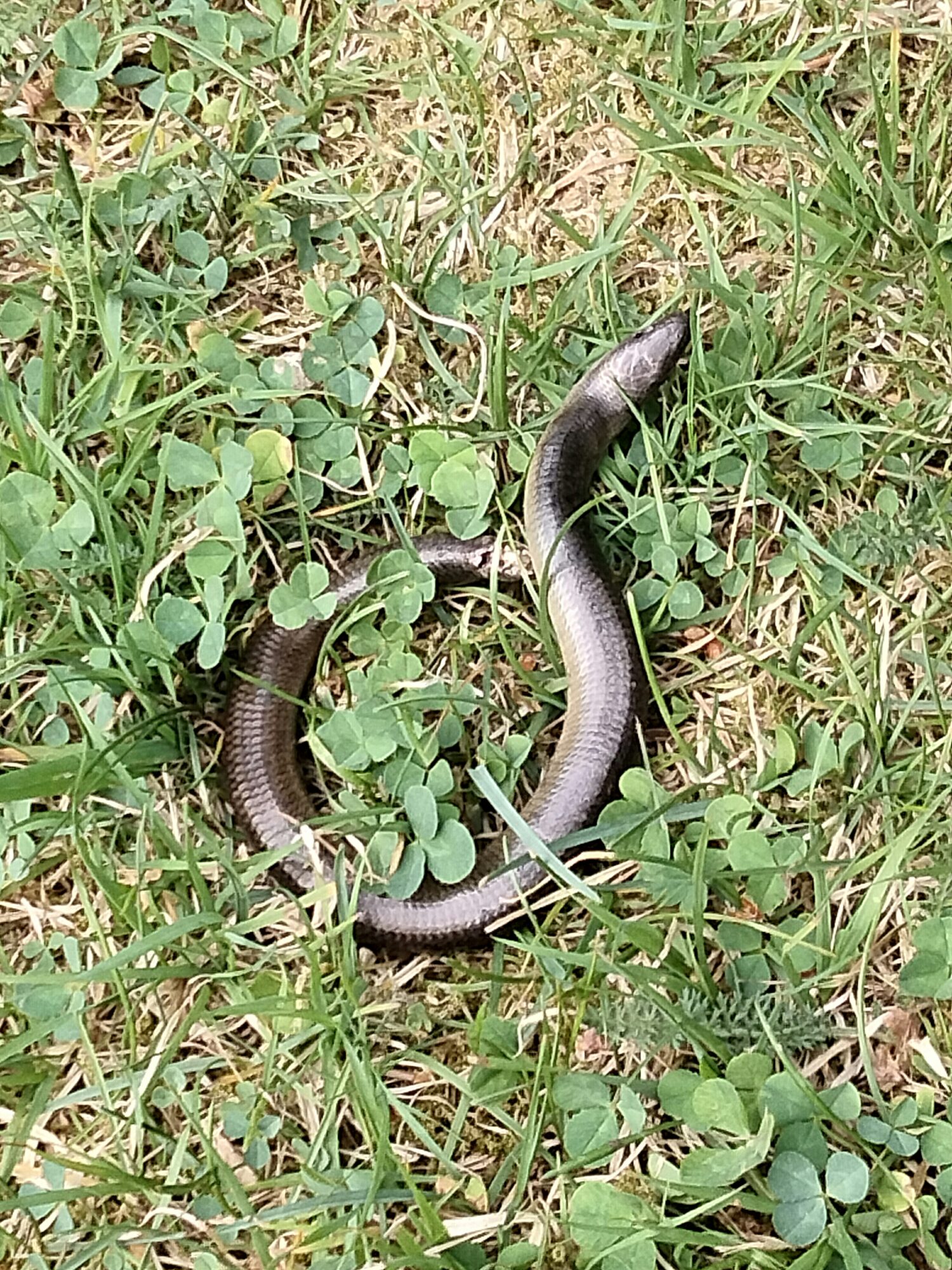 Valokuvaaja: Anne Vienola