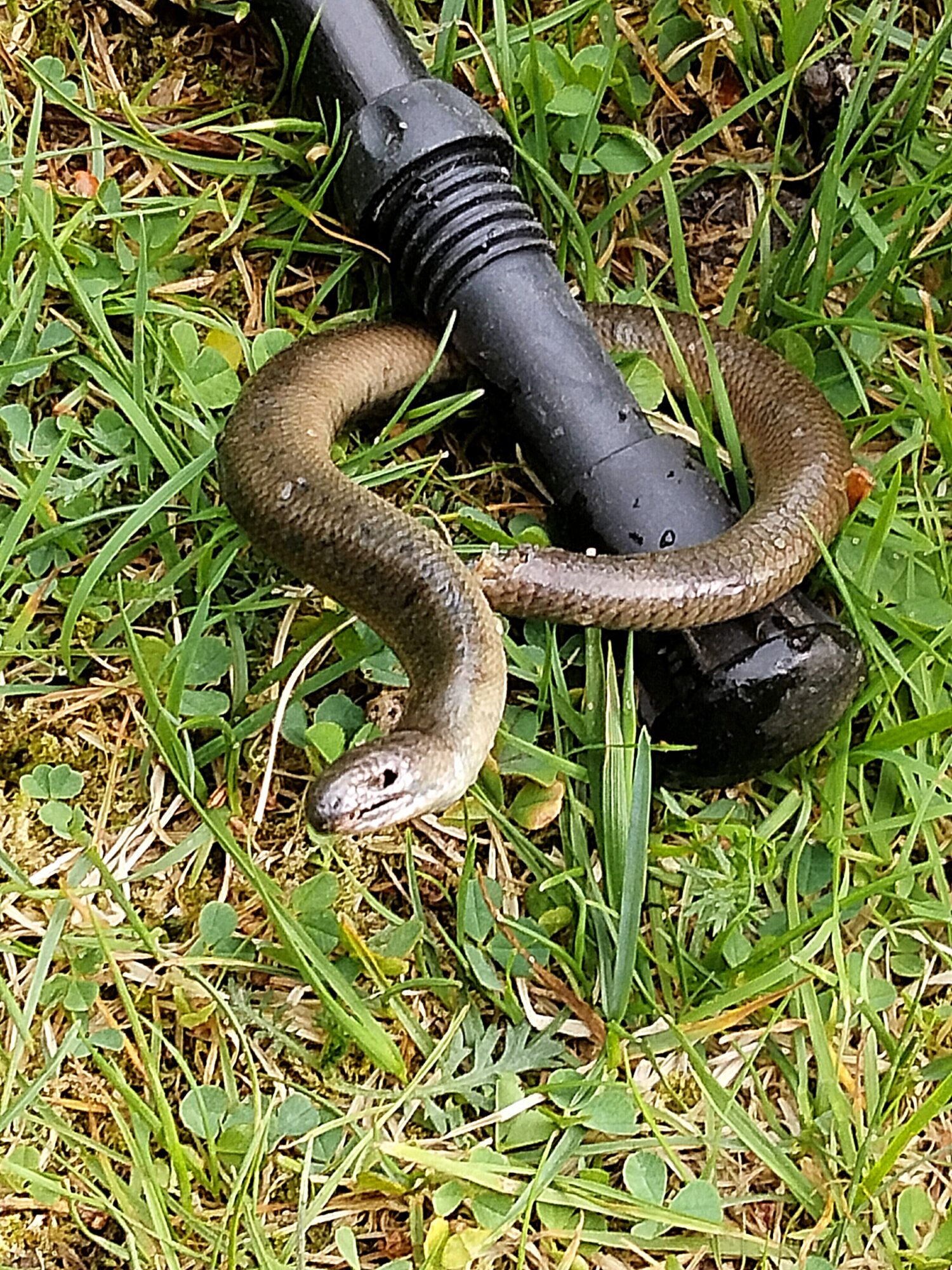 Valokuvaaja: Anne Vienola