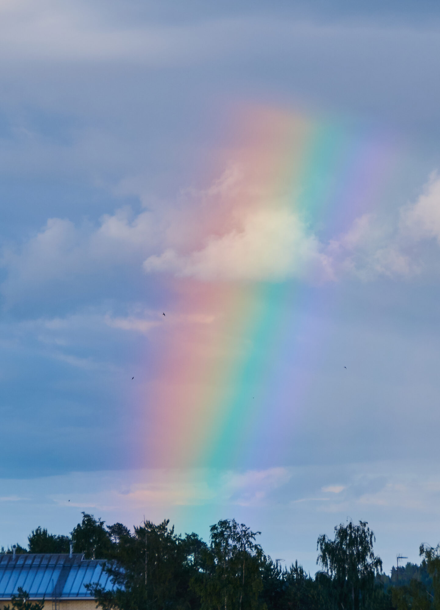 Valokuvaaja: Tarja Kouvo