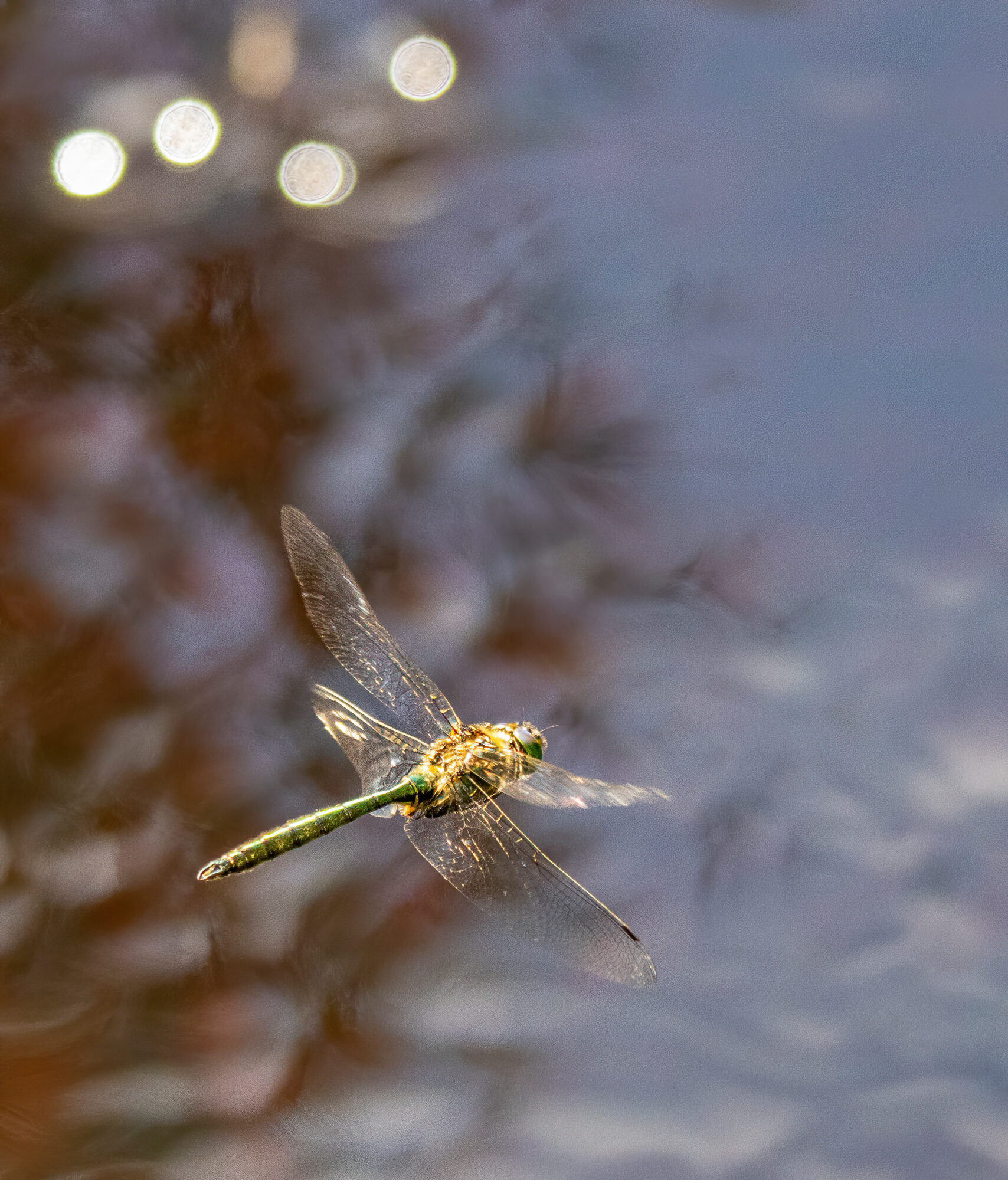 Valokuvaaja: Hannu Tikkanen