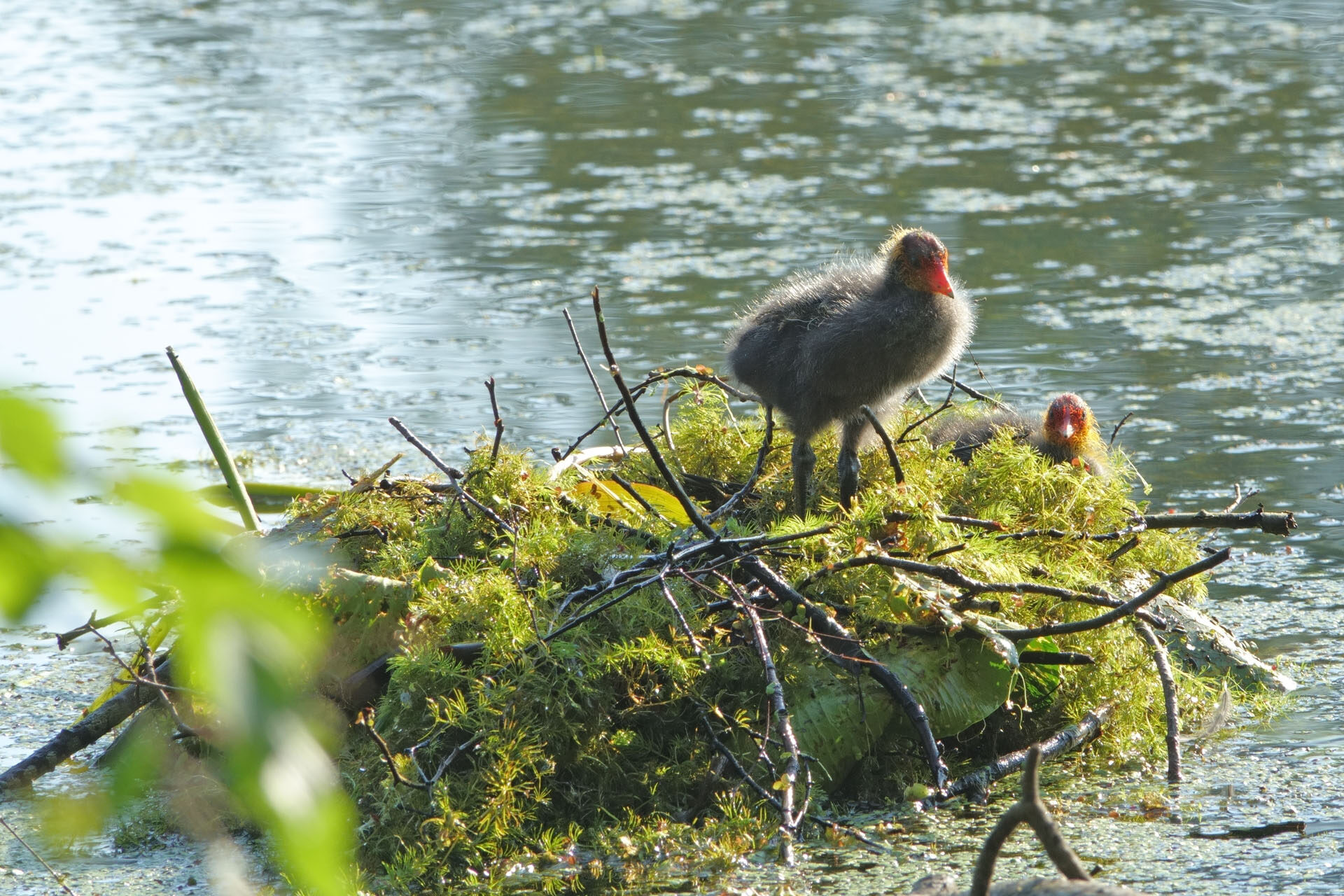 Valokuvaaja: Tapio Lahtinen