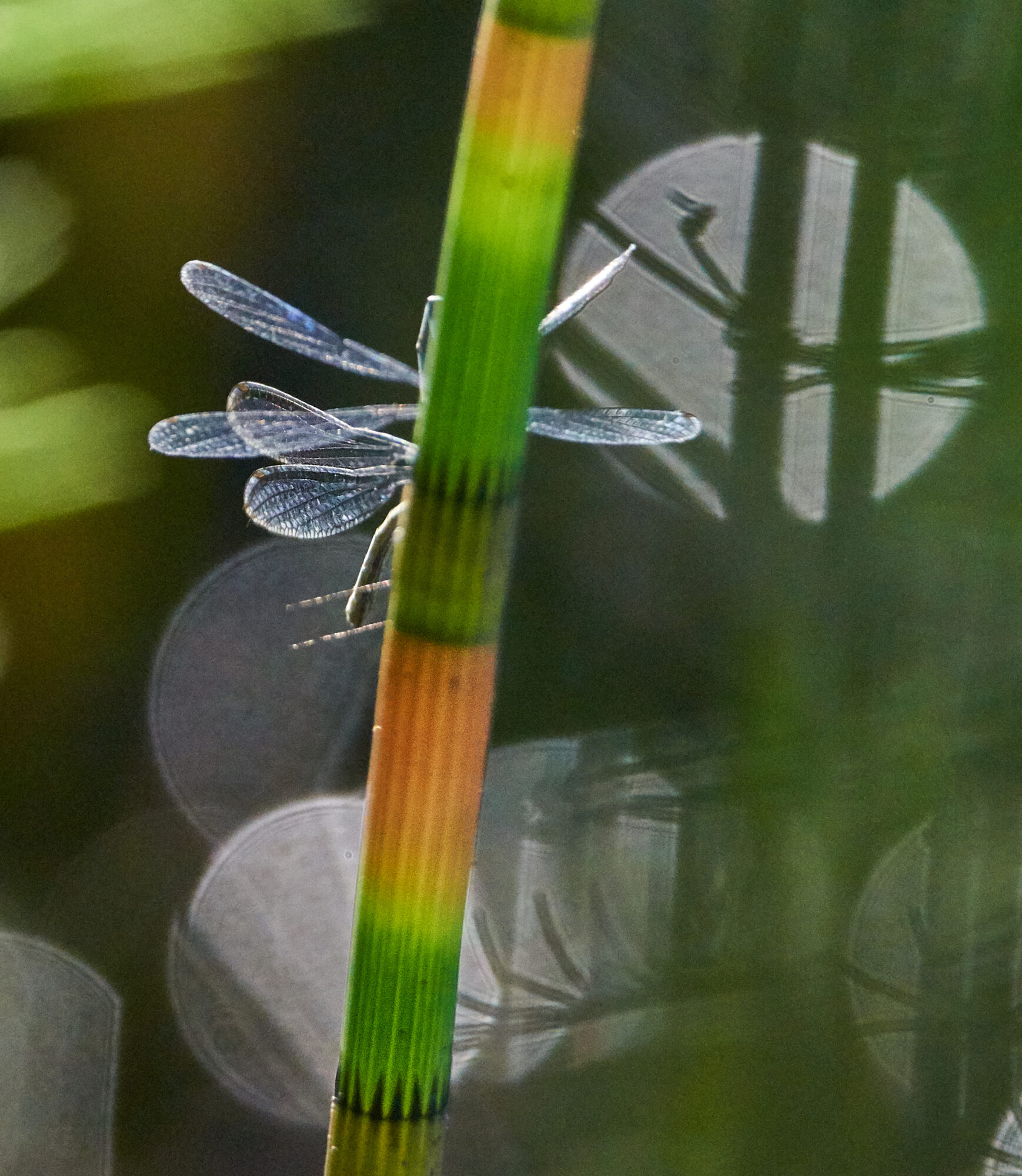 Valokuvaaja: Tarja Kouvo