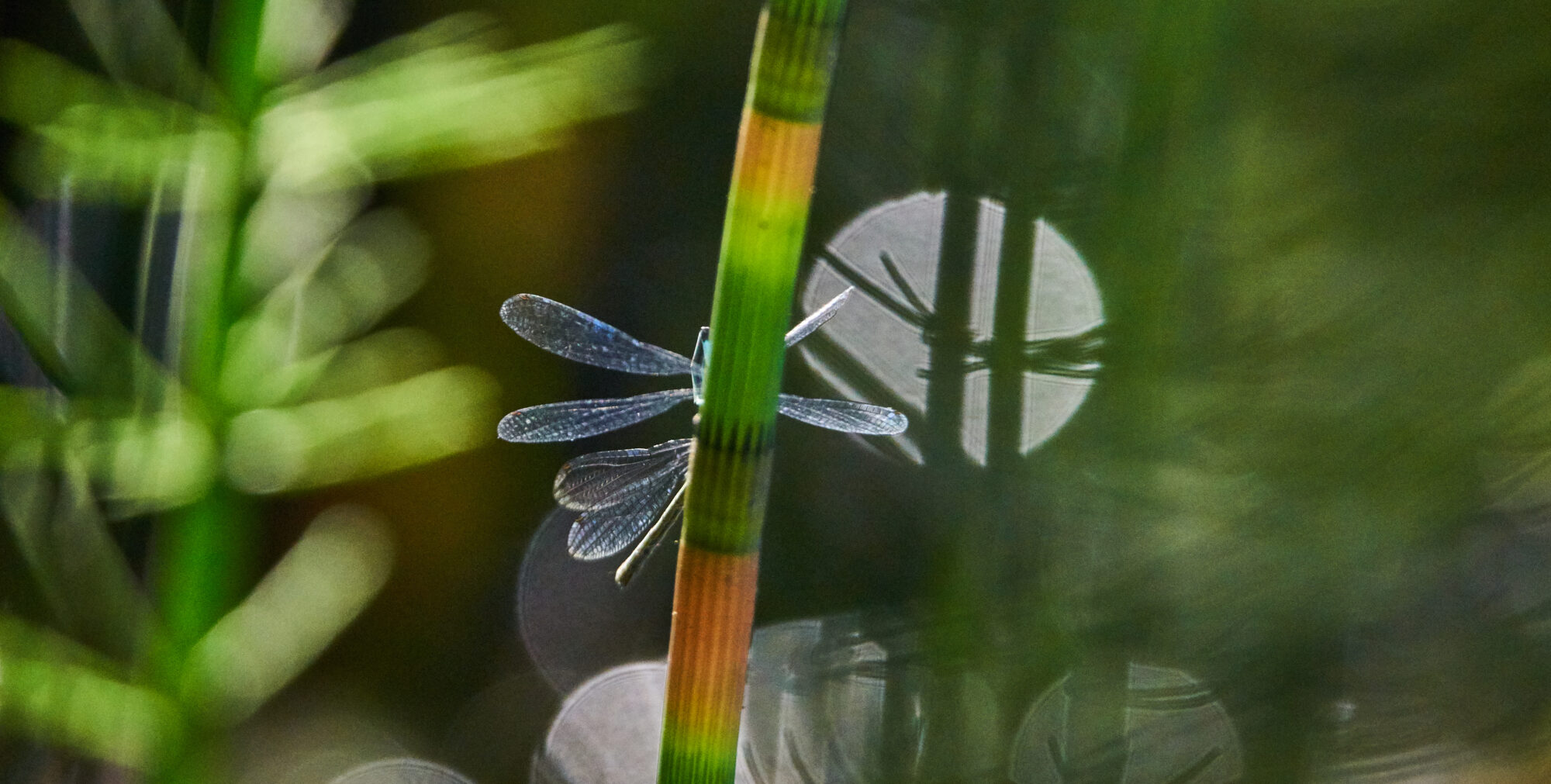 Valokuvaaja: Tarja Kouvo