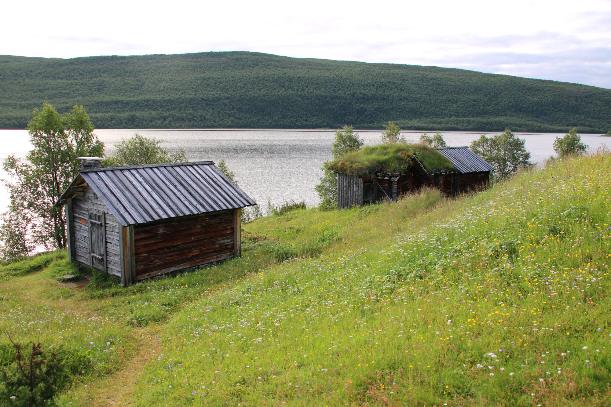 Valokuvaaja: Tuukka Pahtamaa