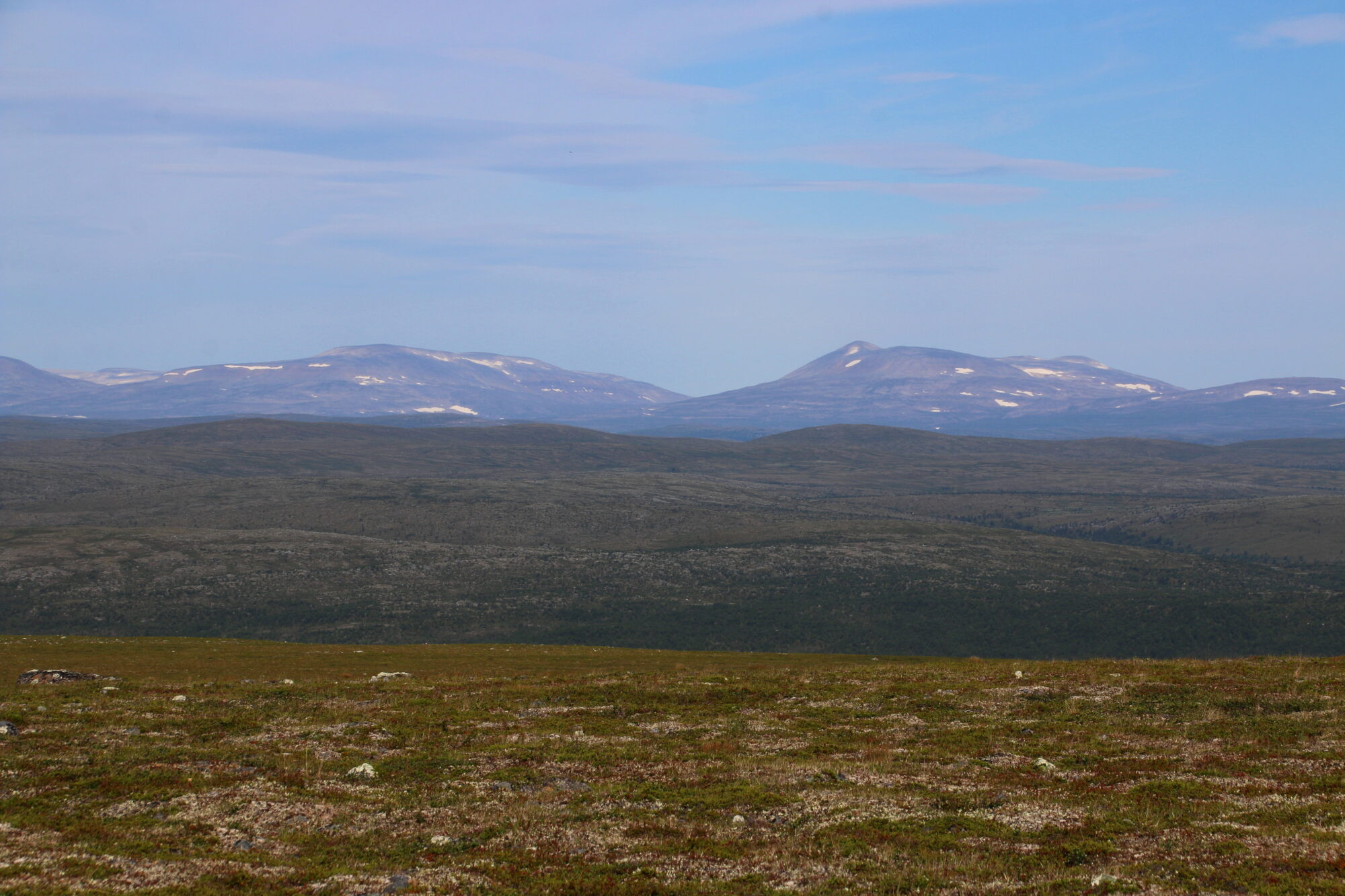 Valokuvaaja: Tuukka Pahtamaa