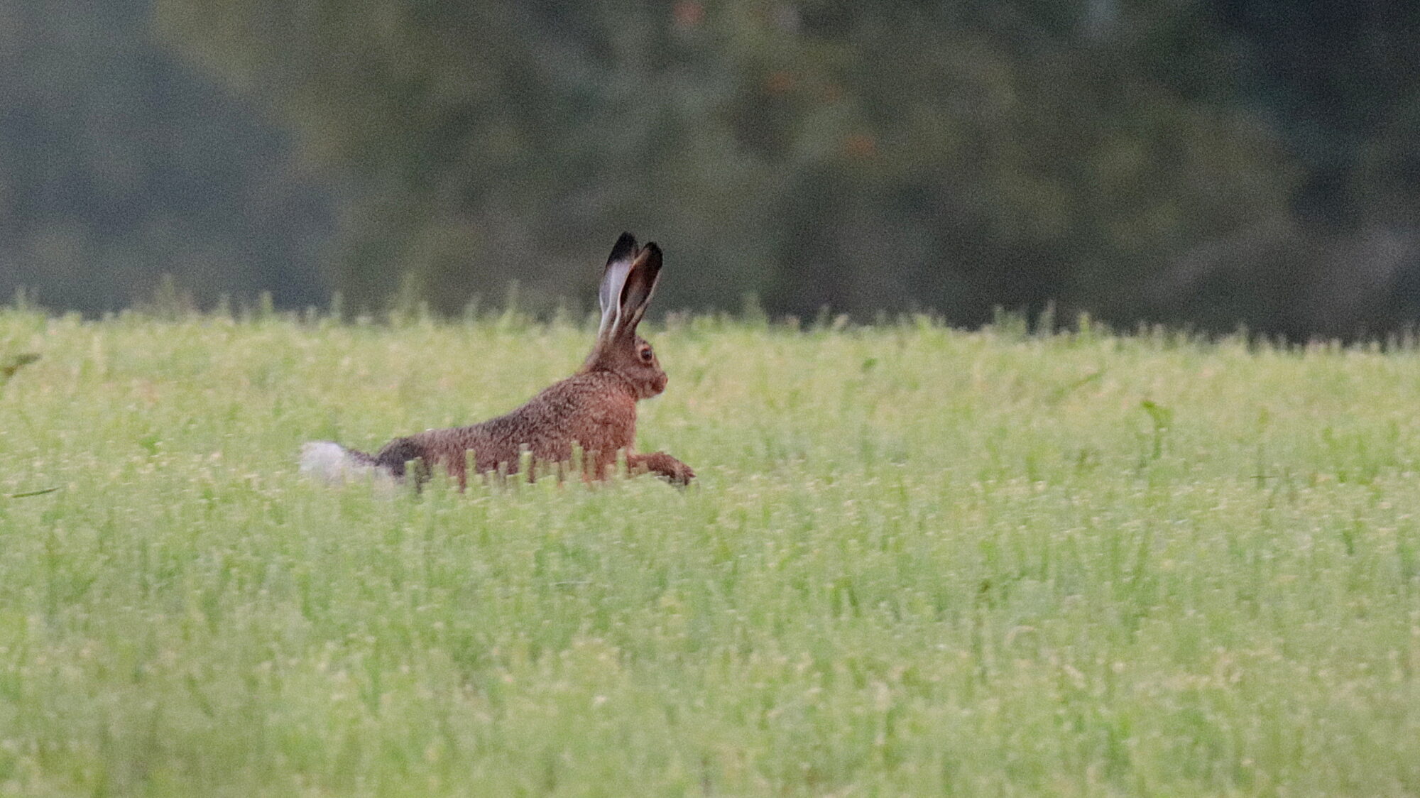 Valokuvaaja: sirpa Jyske