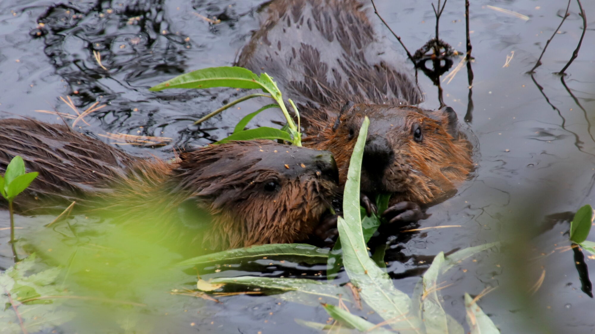 Valokuvaaja: sirpa Jyske