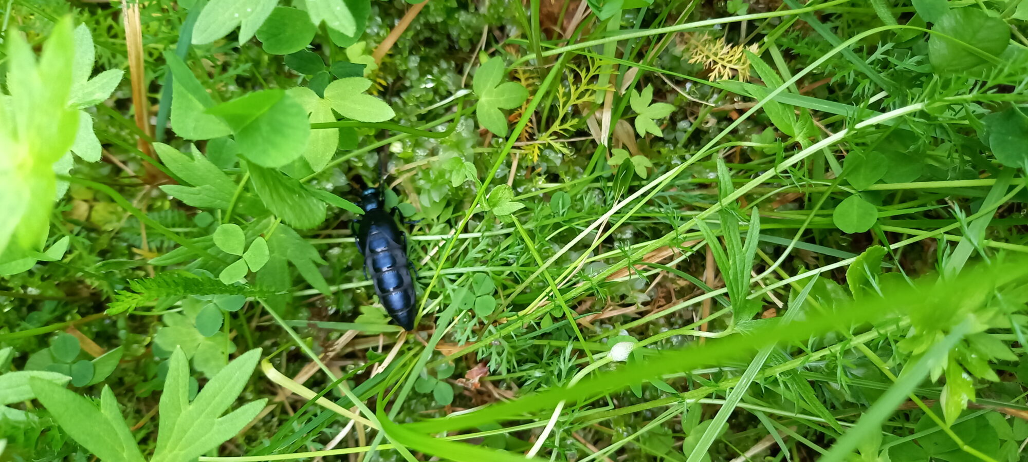 Valokuvaaja: Tuula Saraniemi