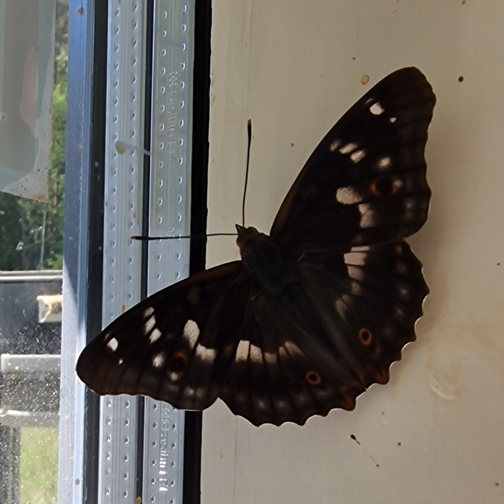 Valokuvaaja: Marko Virtanen