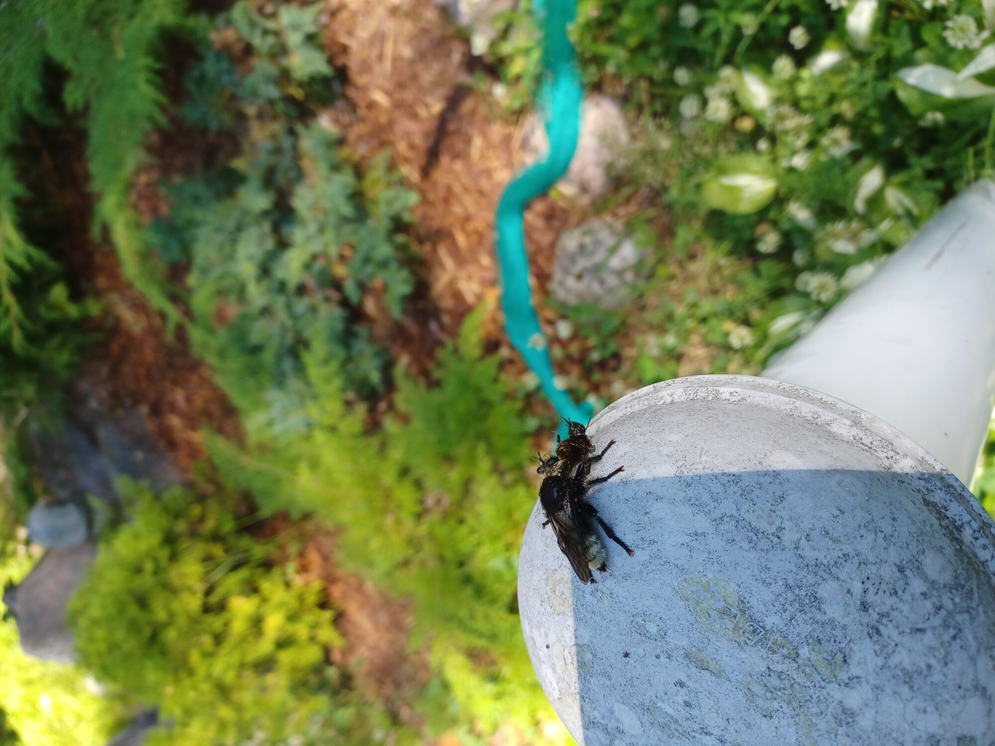 Valokuvaaja: Risto Laine