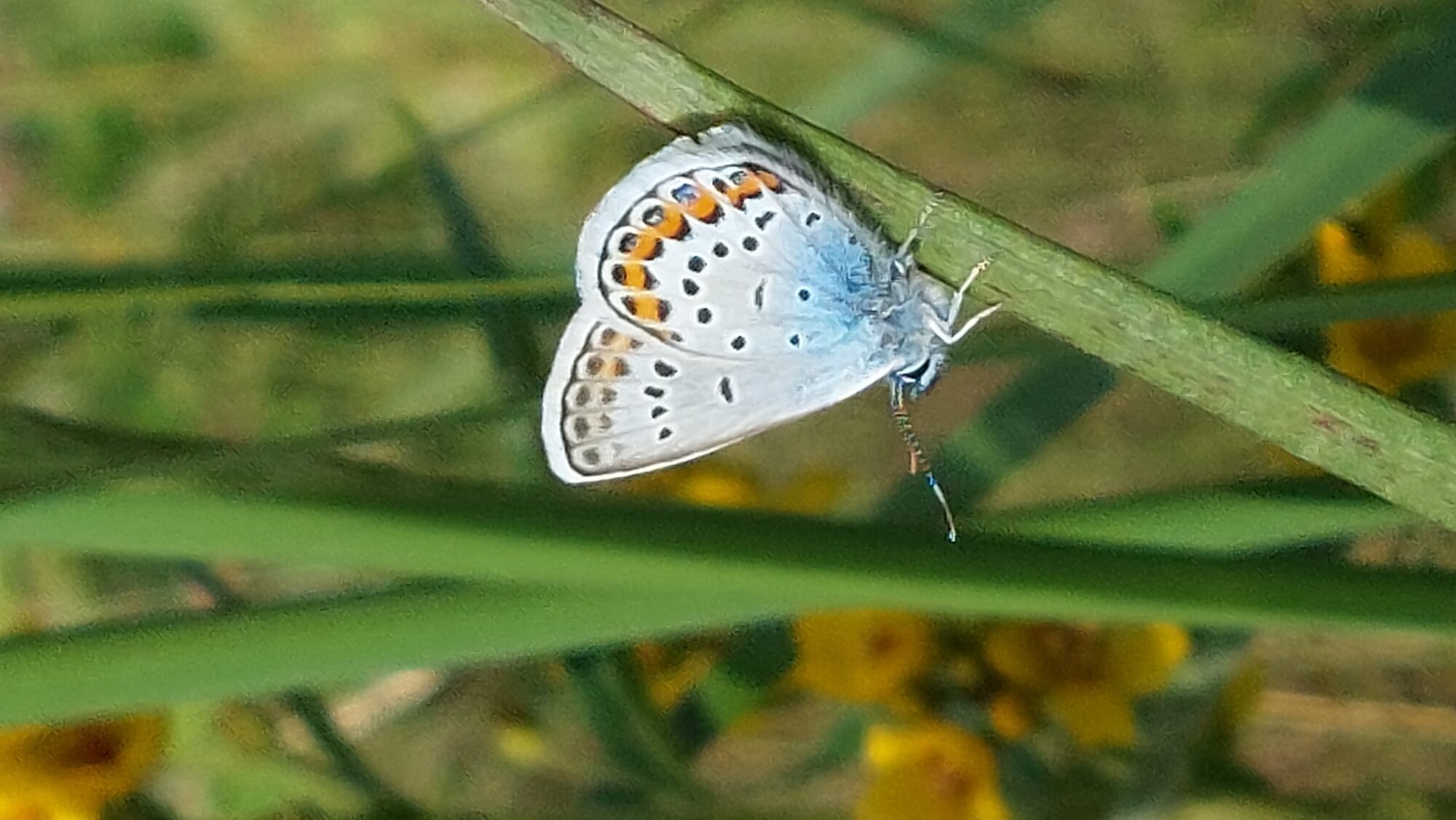 Valokuvaaja: Tarja Naukkarinen