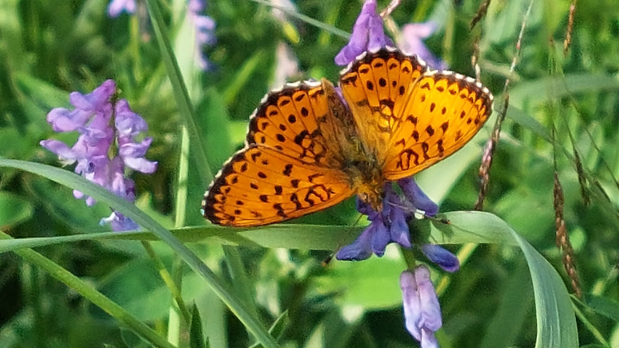 Valokuvaaja: Tarja Naukkarinen Valokuvaaja: Tarja Naukkarinen