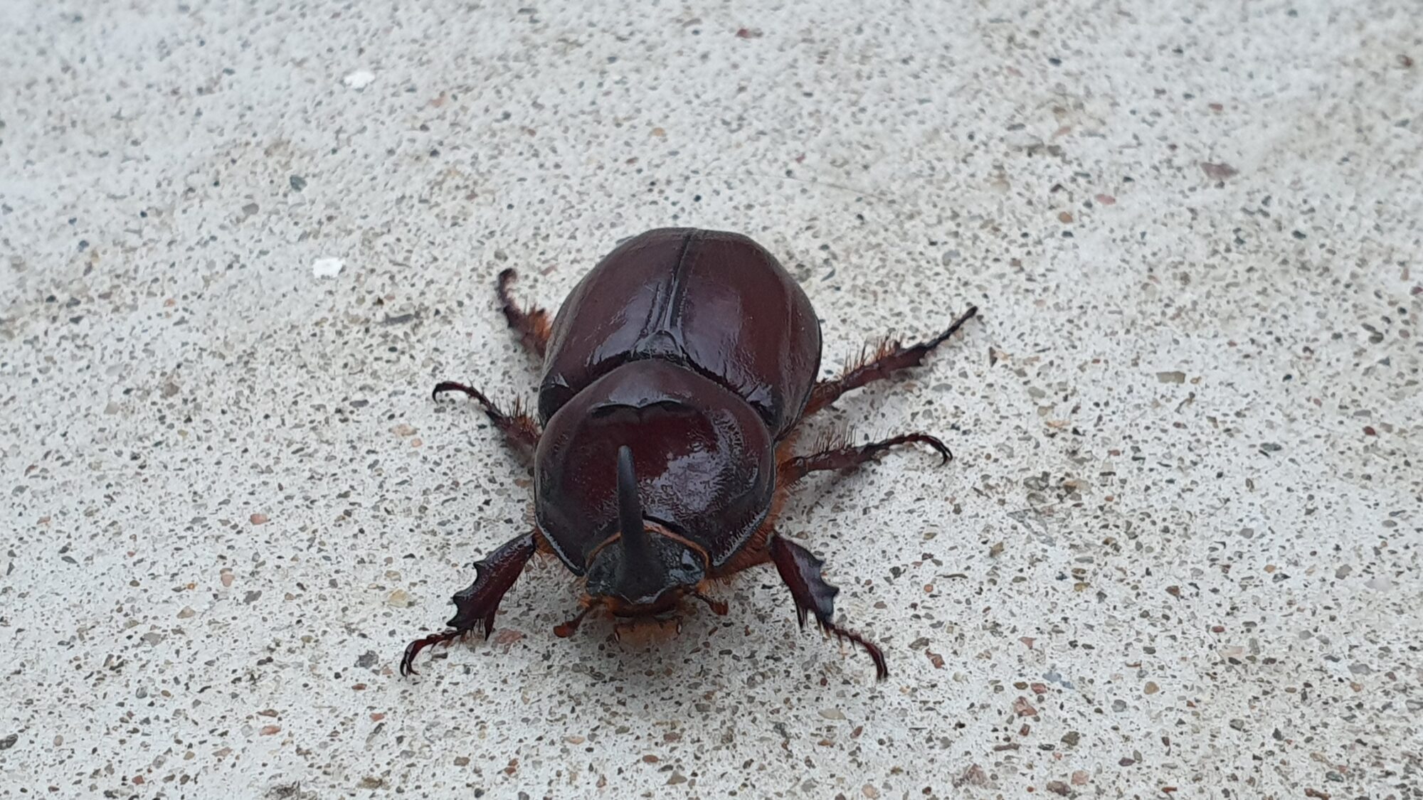 Valokuvaaja: Minna Jansson