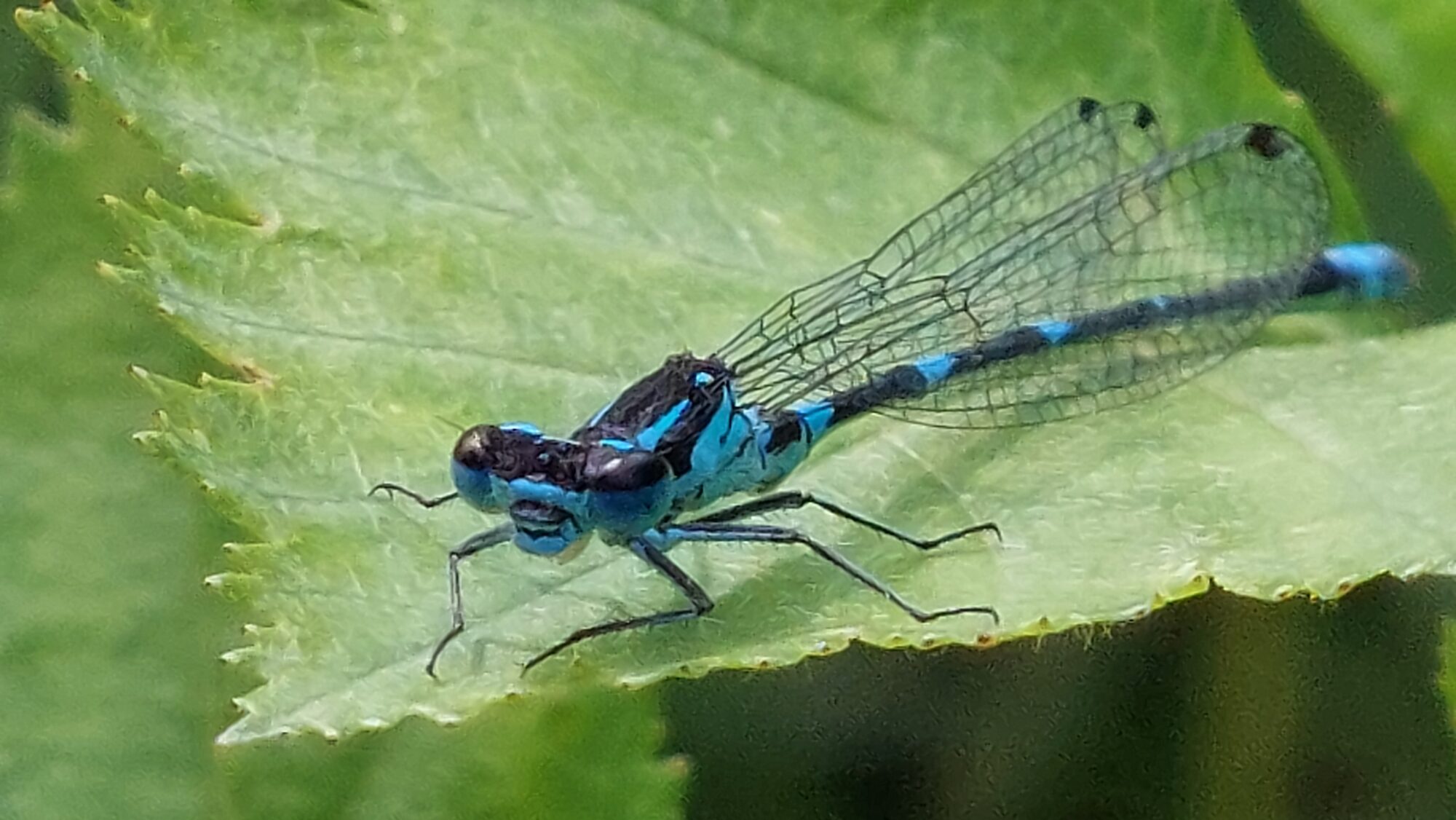 Valokuvaaja: Tarja Naukkarinen