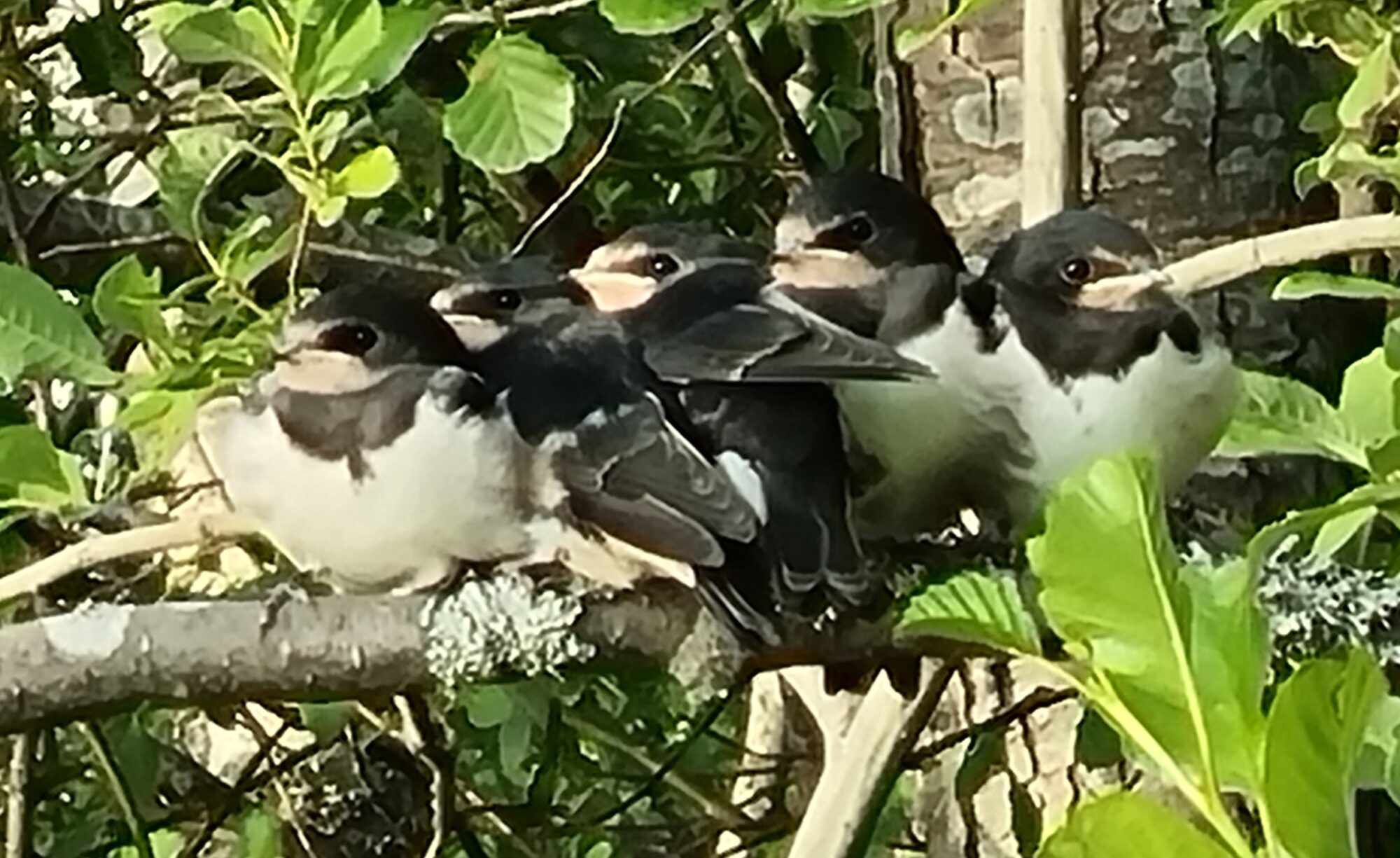 Valokuvaaja: Leena Sarell-Kankaanpää