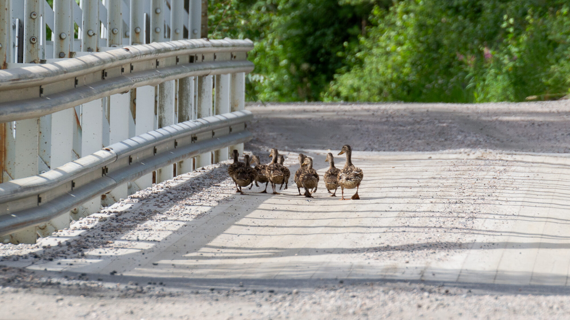 Valokuvaaja: Helena Minkkilä