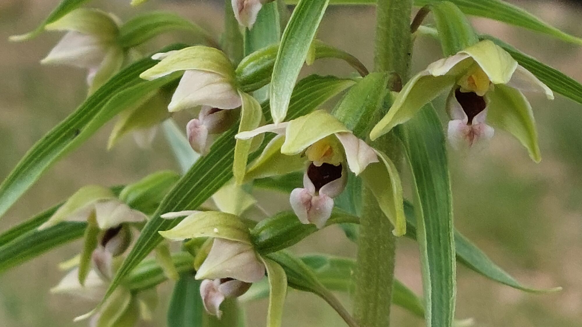 Valokuvaaja: Tarja Naukkarinen