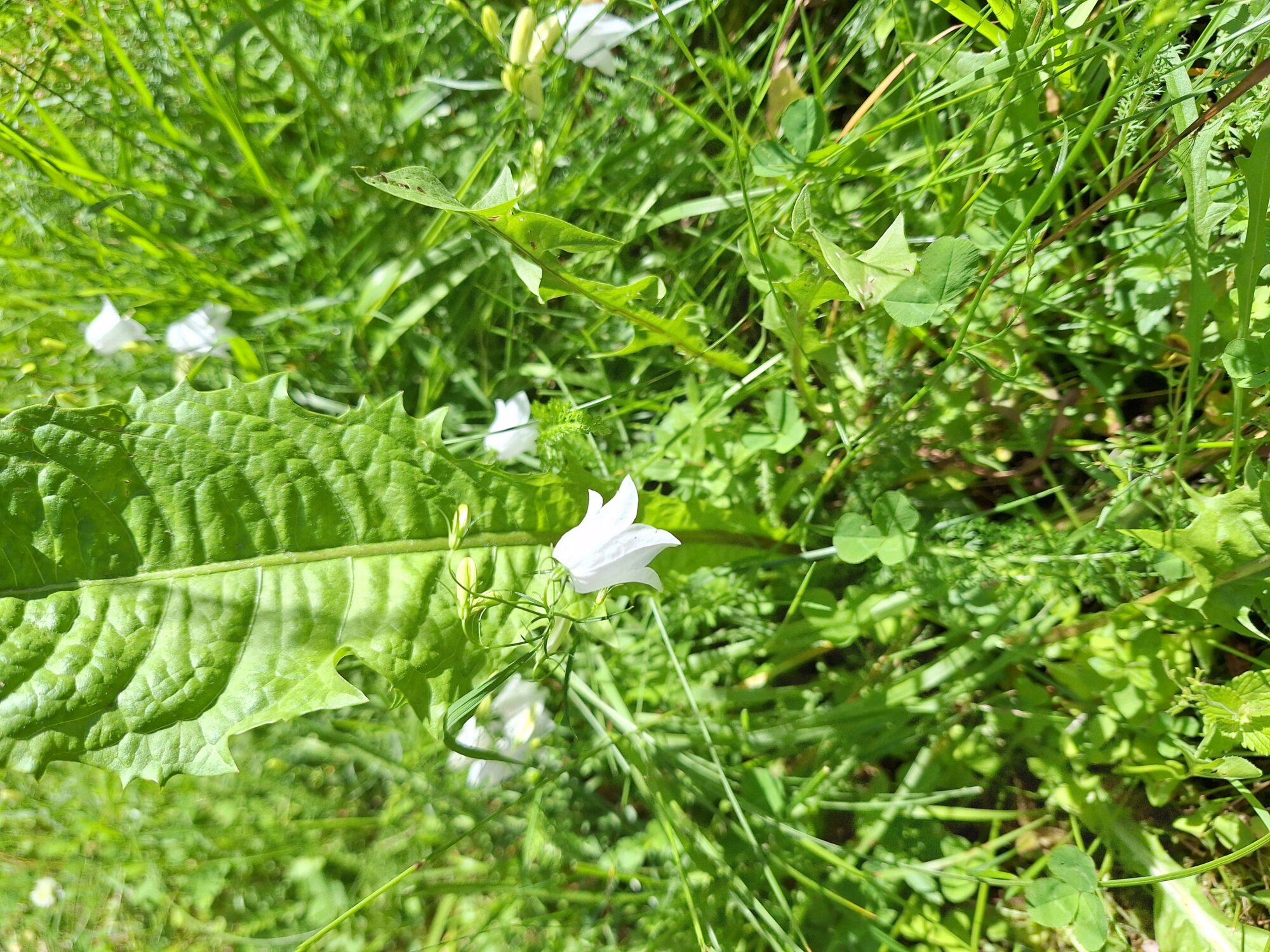 Valokuvaaja: Ulla Haapasalo