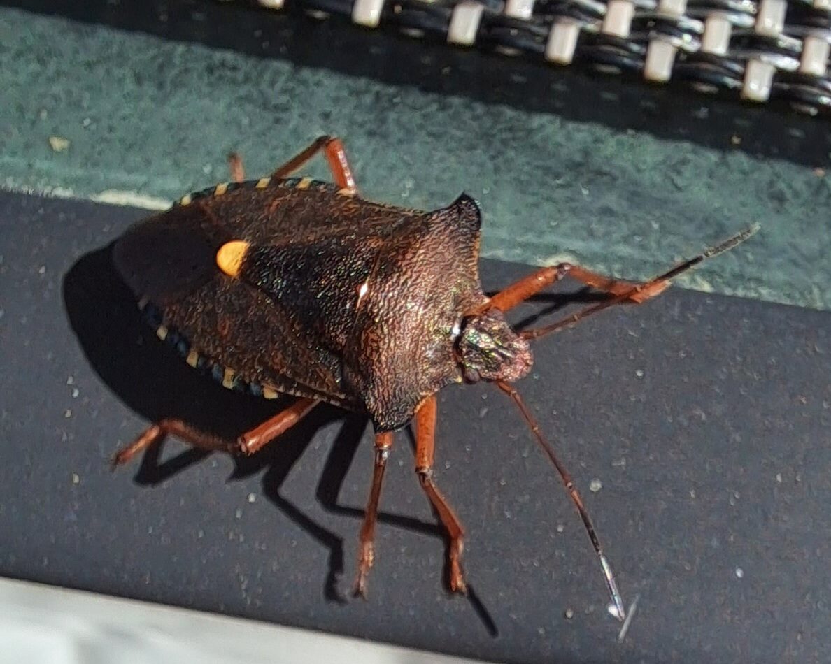 Valokuvaaja: Pia Eriksson