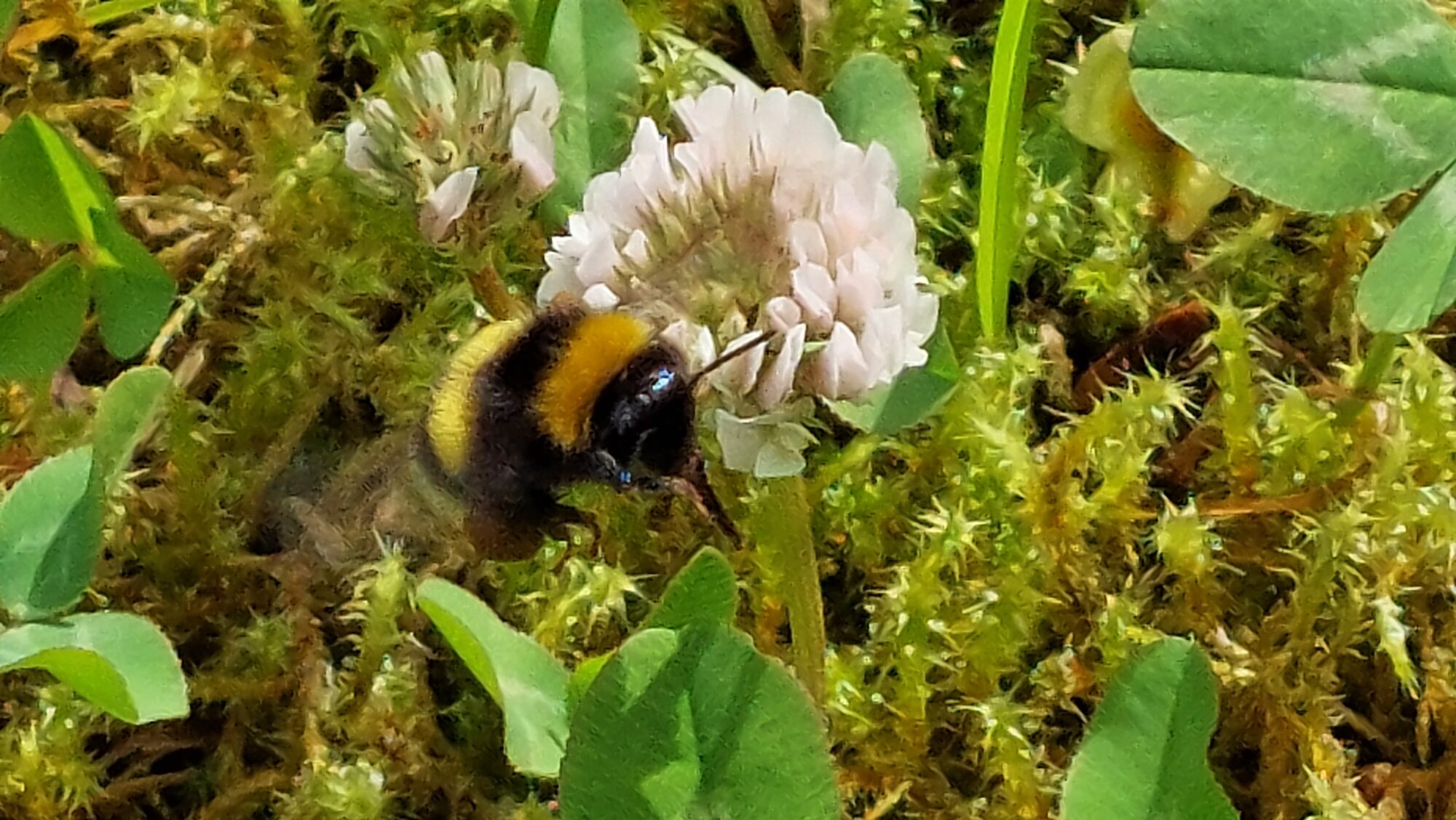 Valokuvaaja: Tarja Naukkarinen Valokuvaaja: Tarja Naukkarinen