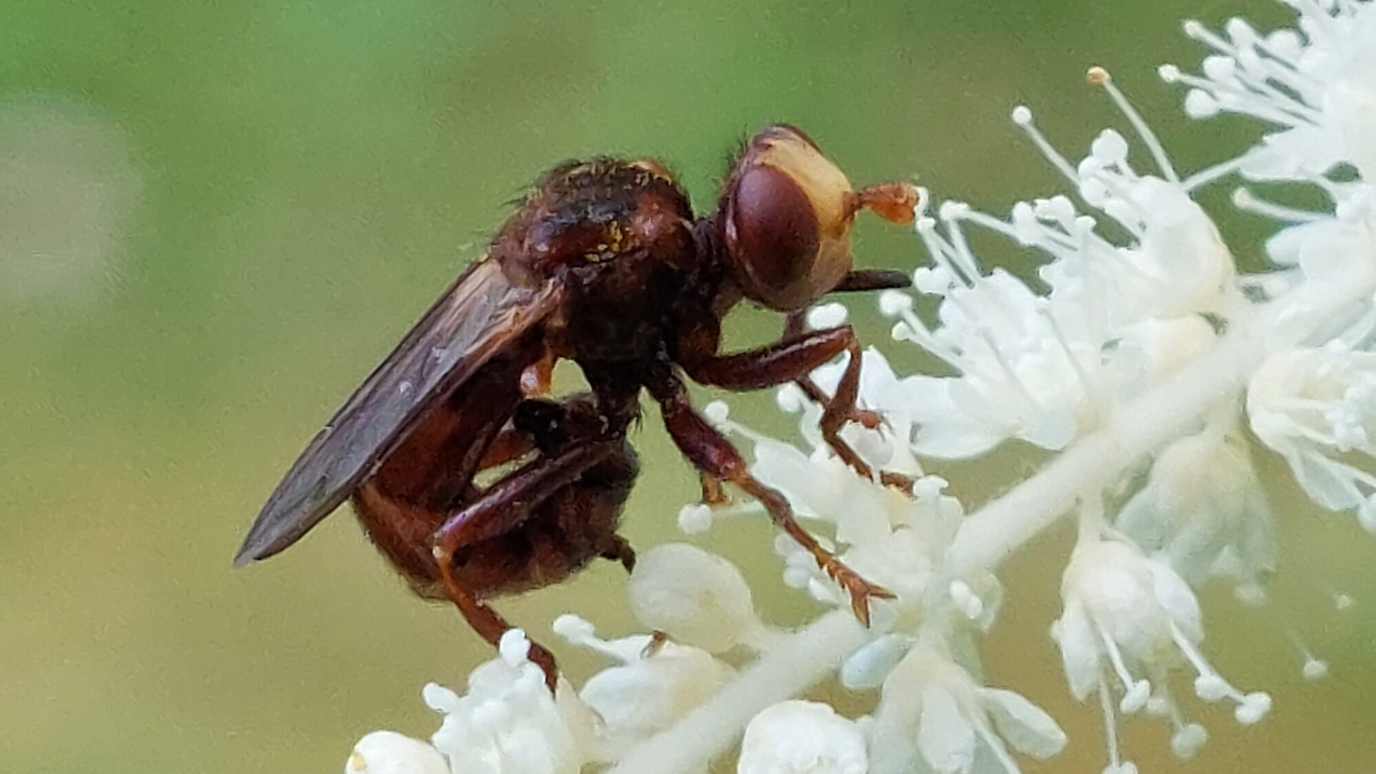 Valokuvaaja: Tarja Naukkarinen Valokuvaaja: Tarja Naukkarinen