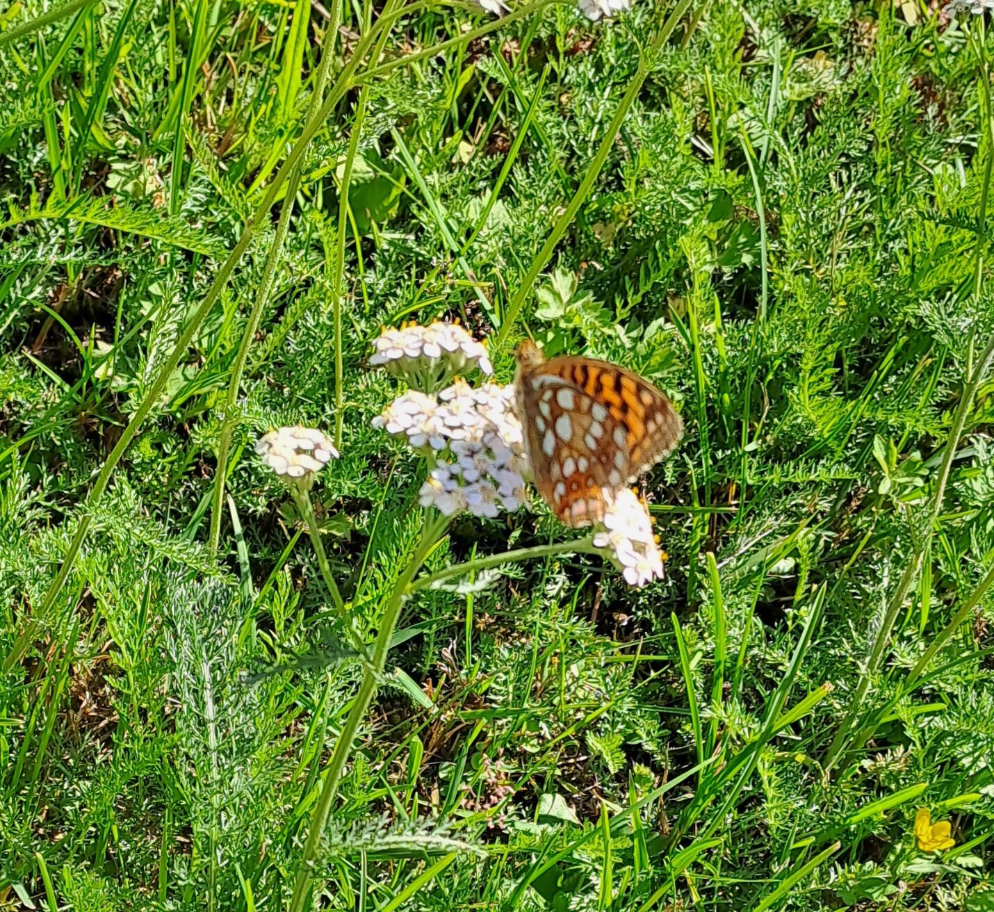 Valokuvaaja: Eija Johanna Saastamoinen