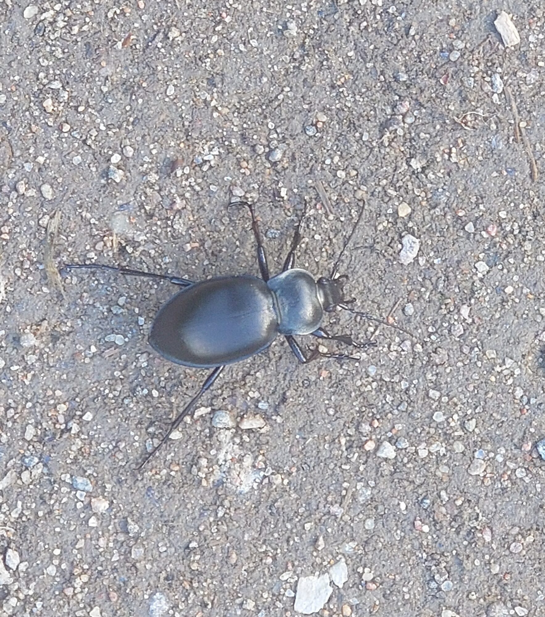 Valokuvaaja: Jouni Roppola