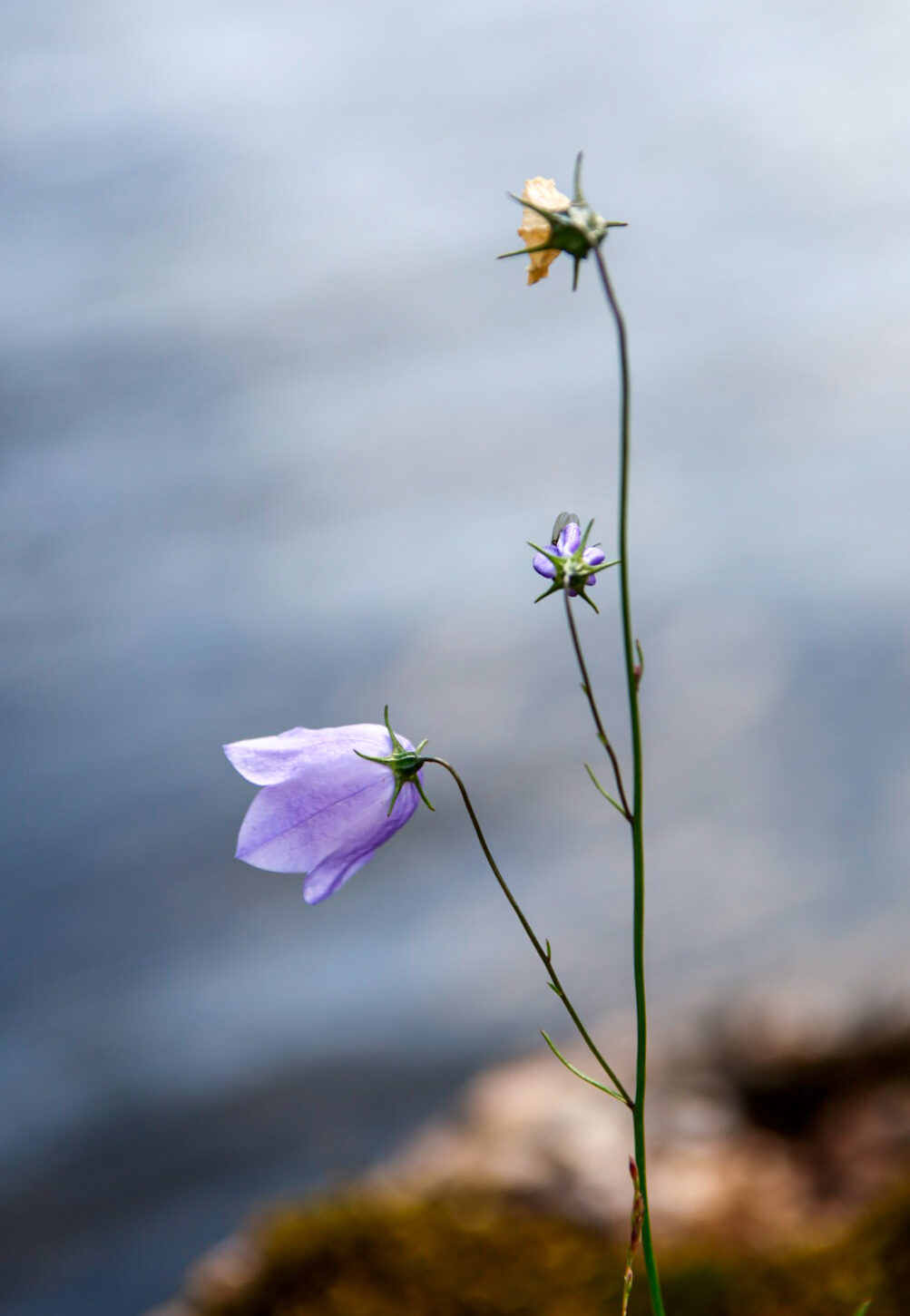 Valokuvaaja: Hannu Tikkanen Valokuvaaja: Hannu Tikkanen