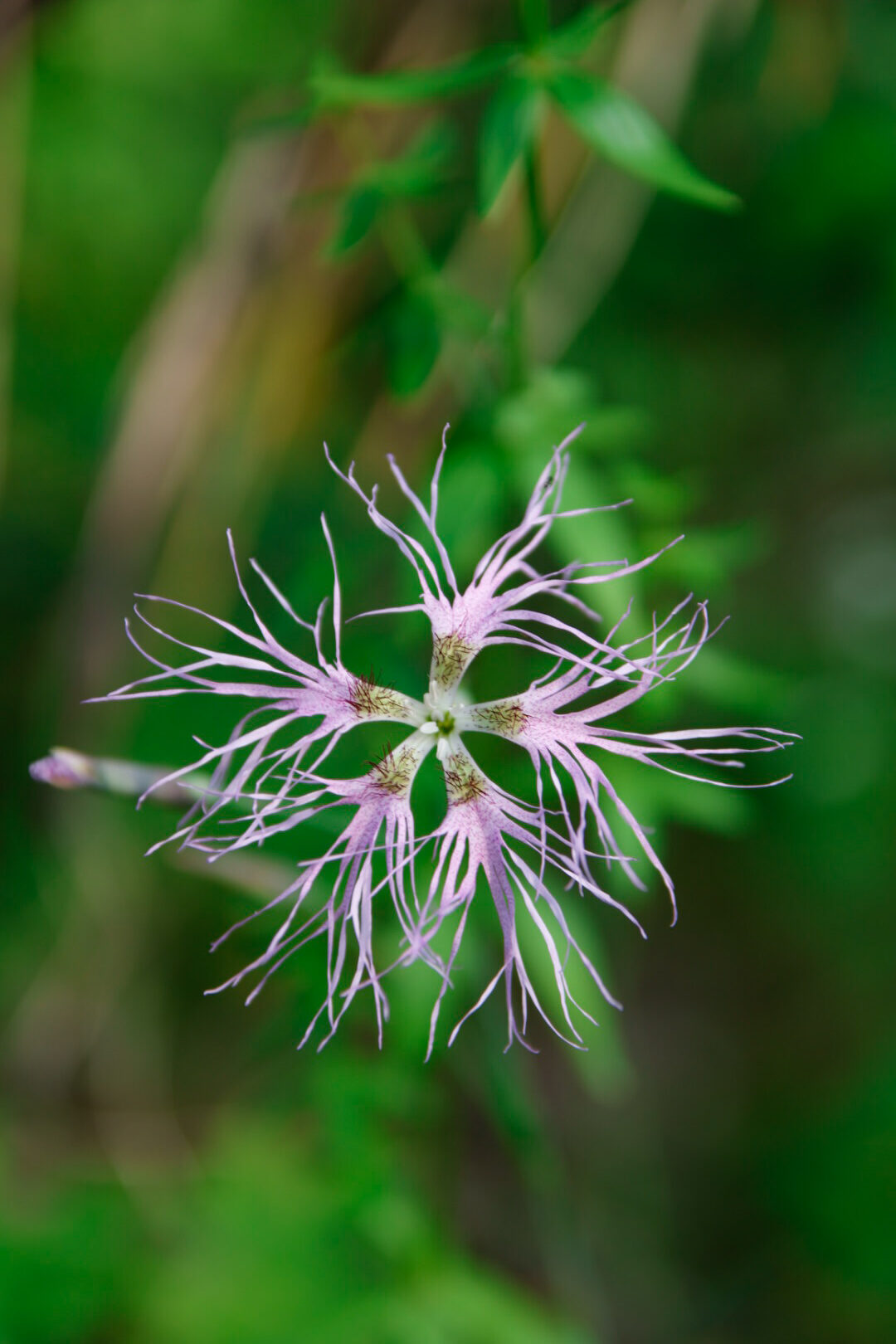 Valokuvaaja: Hannu Tikkanen