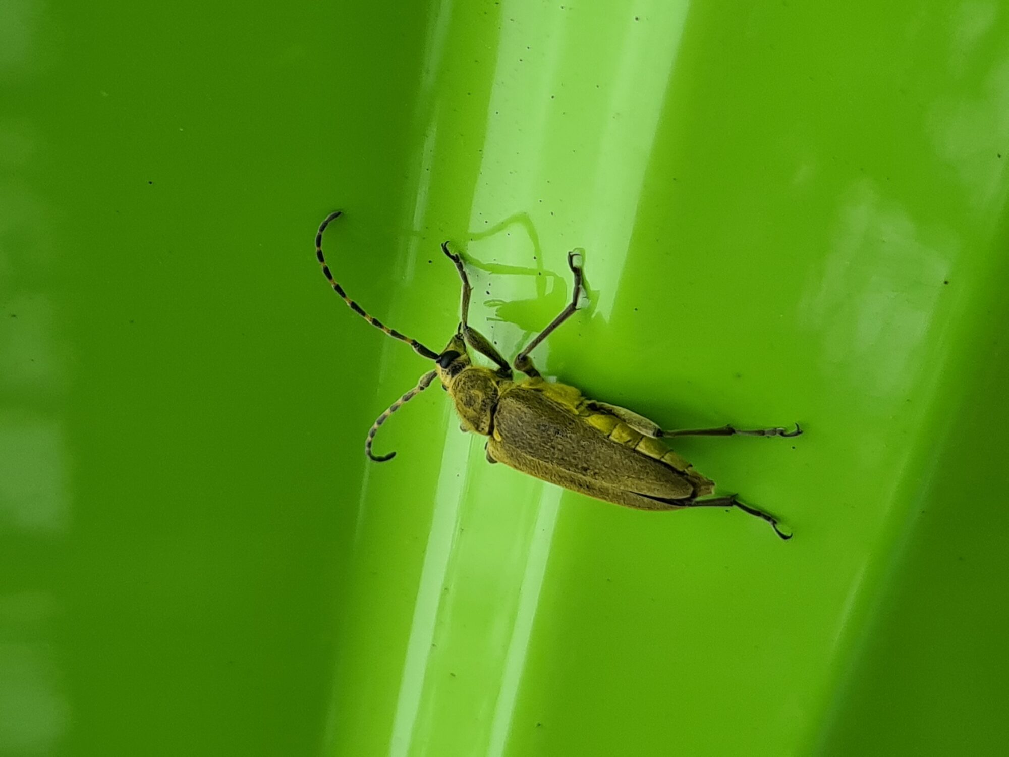 Valokuvaaja: Laura Jonkka