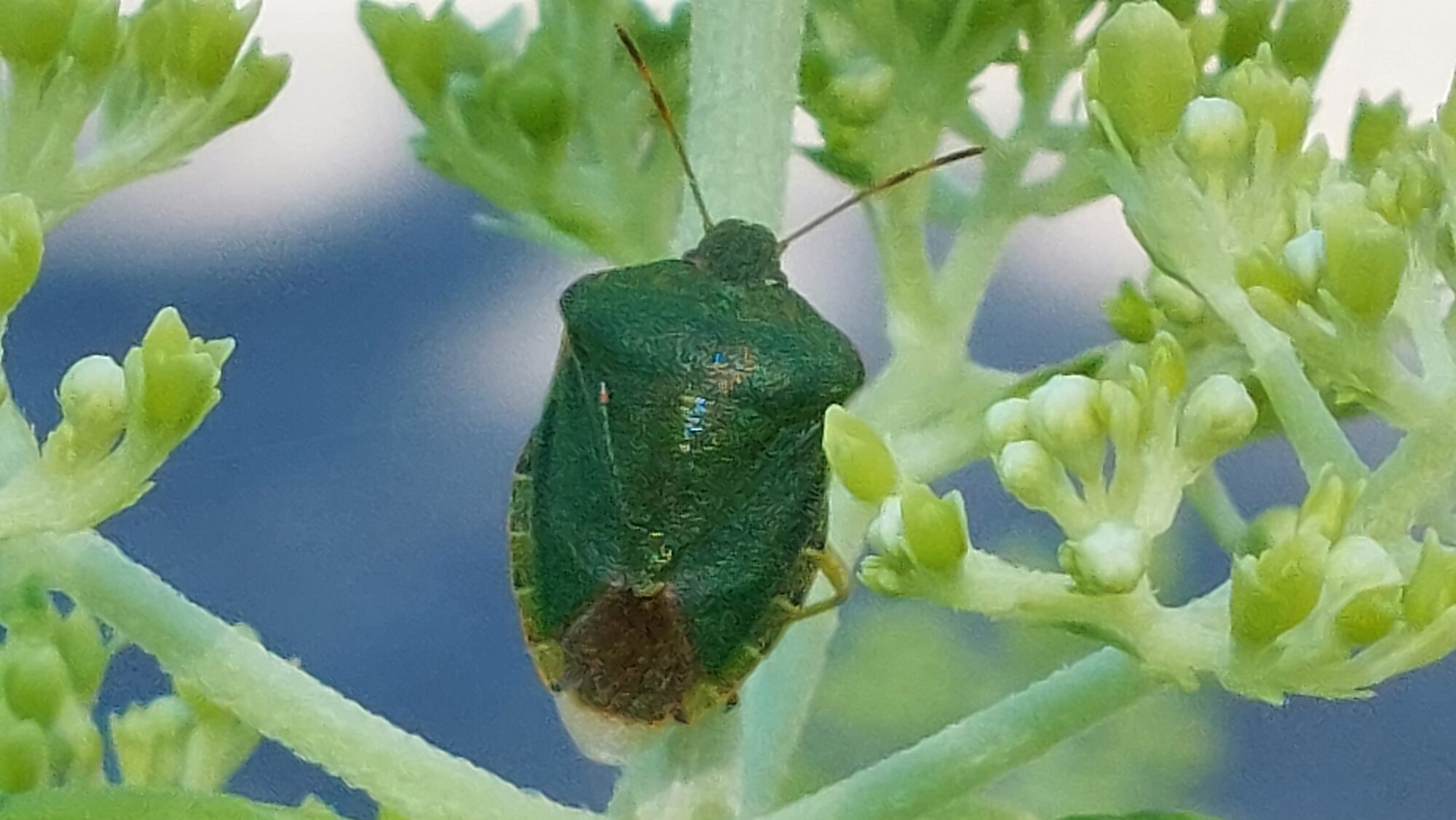 Valokuvaaja: Tarja Naukkarinen