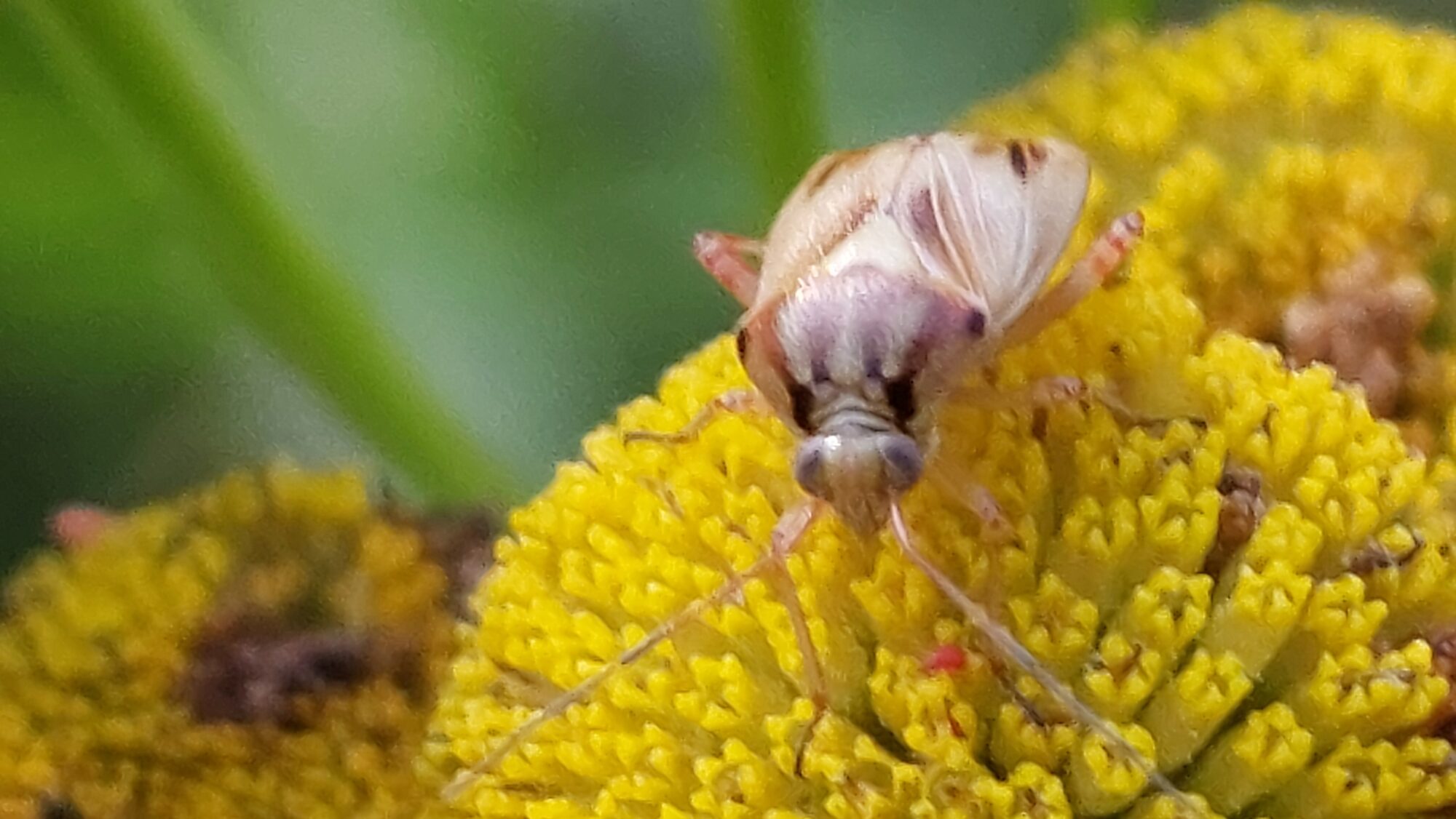 Valokuvaaja: Tarja Naukkarinen