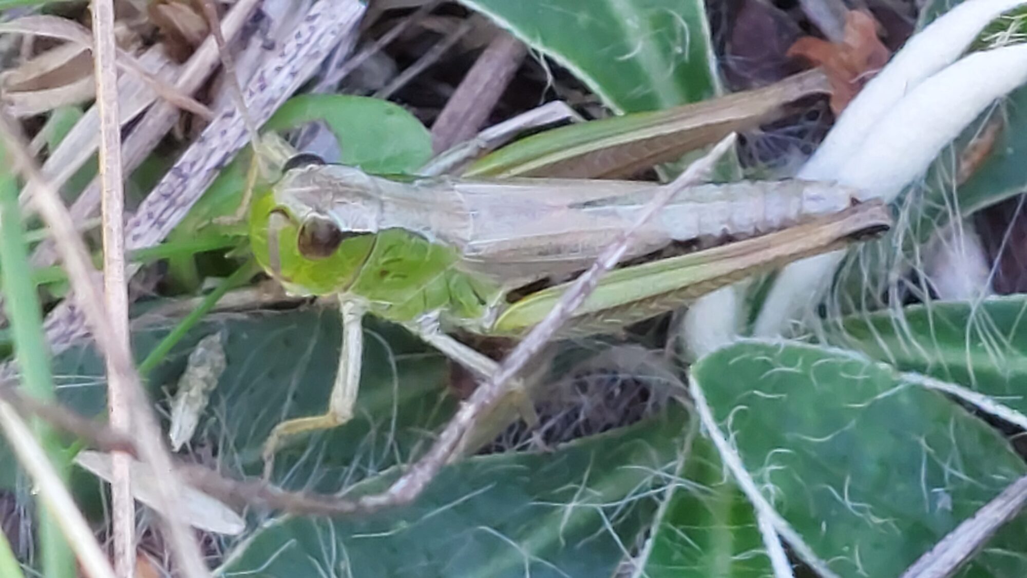 Valokuvaaja: Tarja Naukkarinen